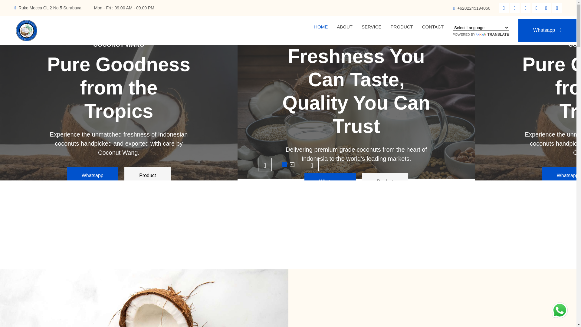 website screenshot of https://coconutwang.com/