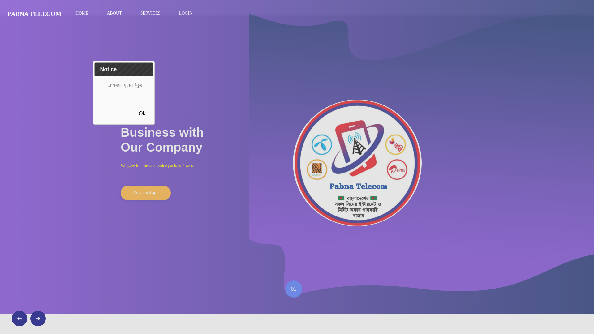 website screenshot of https://pabnatelecom.top/