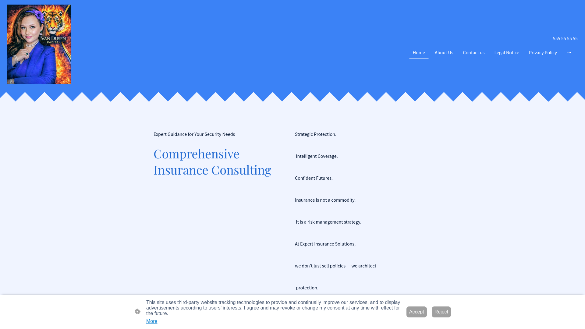 website screenshot of https://vandusencapital.com/