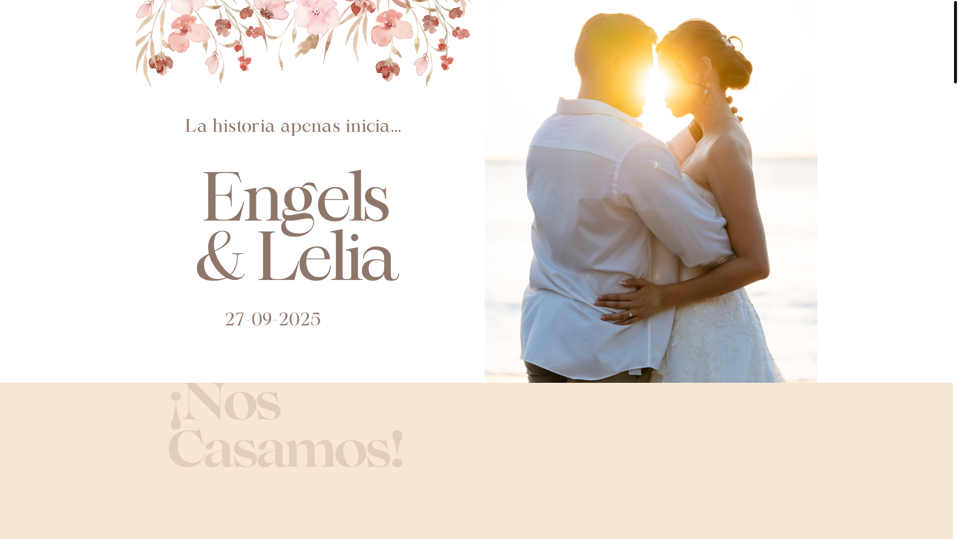 website screenshot of https://bodaromangonzalez.com/