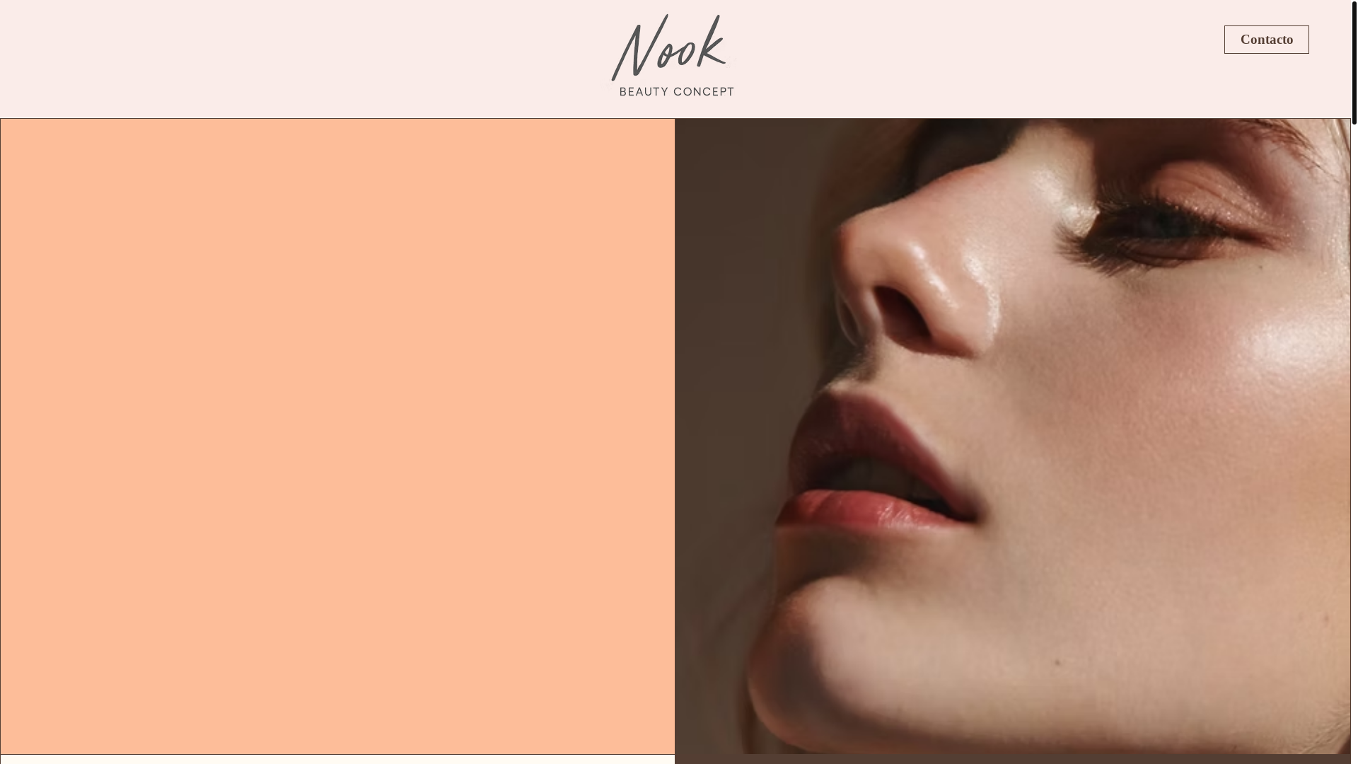 website screenshot of https://nookbeautyconcept.net/