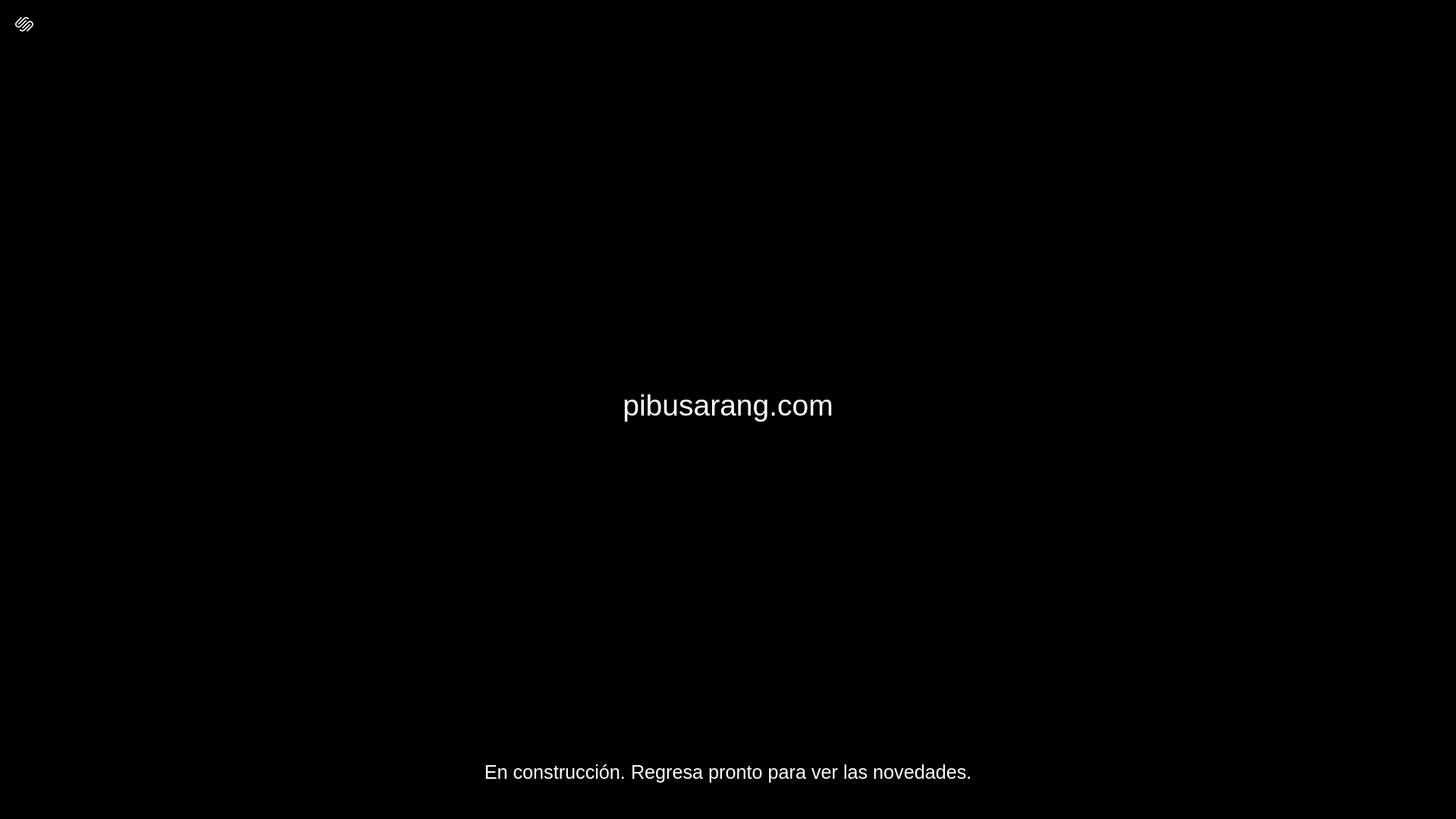 website screenshot of https://pibusarang.com/