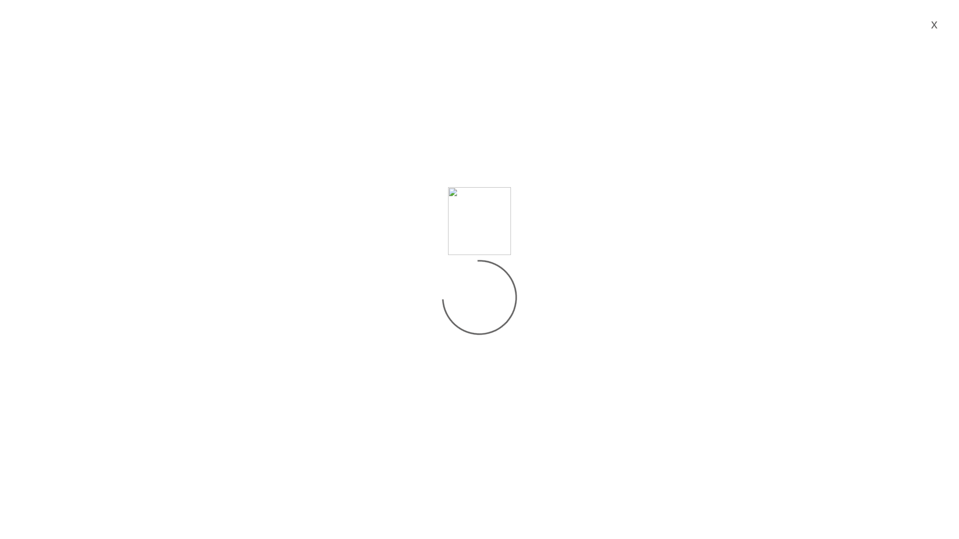 website screenshot of https://gelacottas.com/