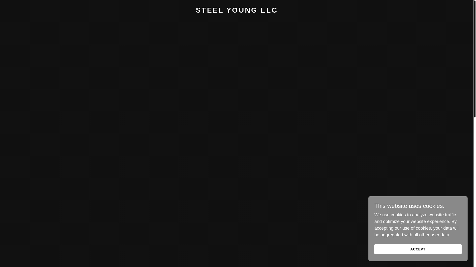 website screenshot of https://steelyoungllc.com/
