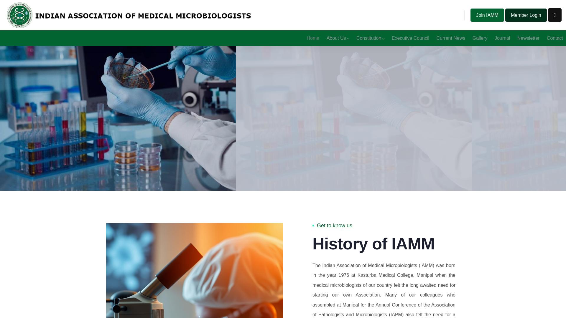 website screenshot of https://myiamm.net/