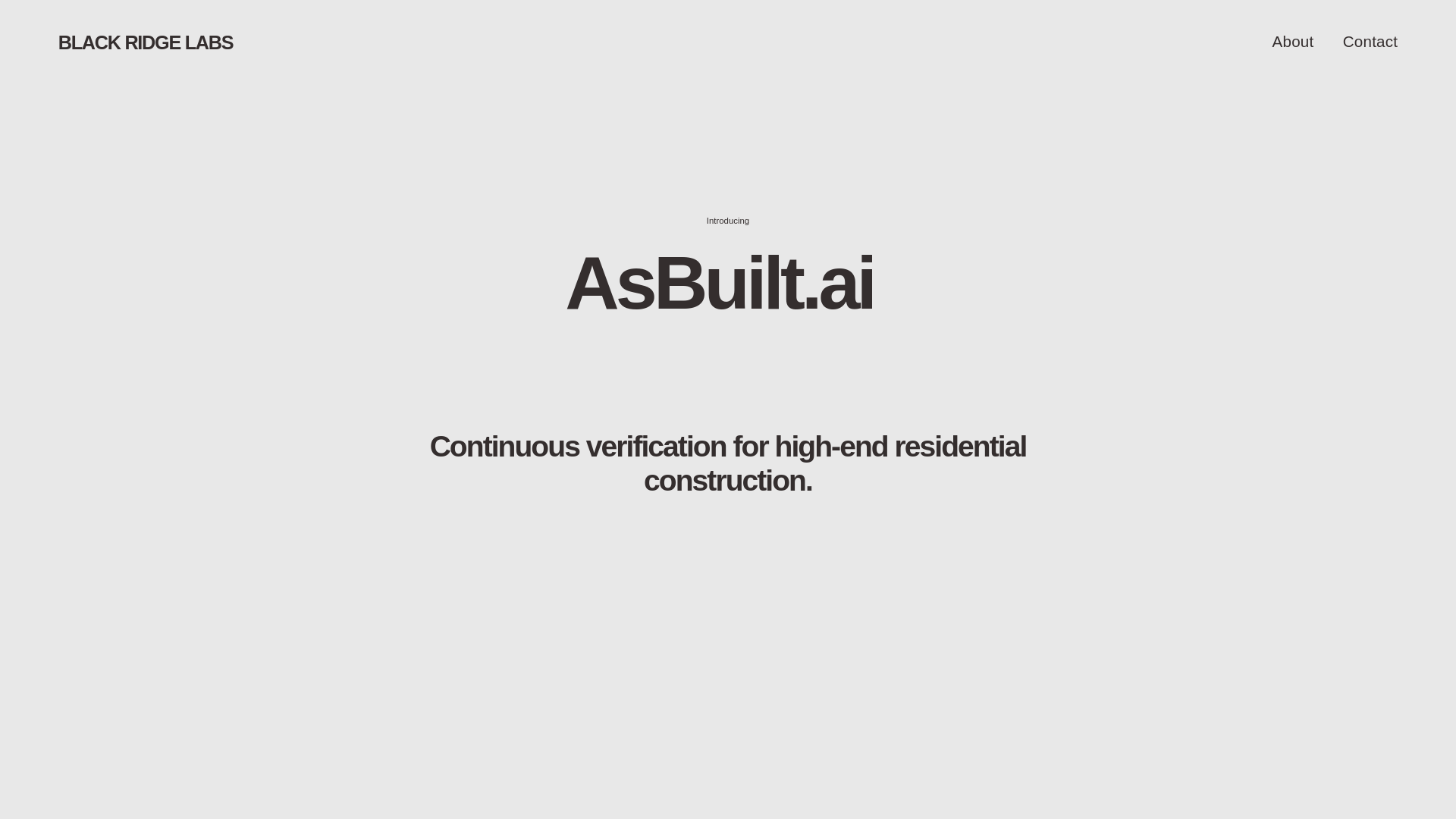 website screenshot of https://blackridgelabs.ai/