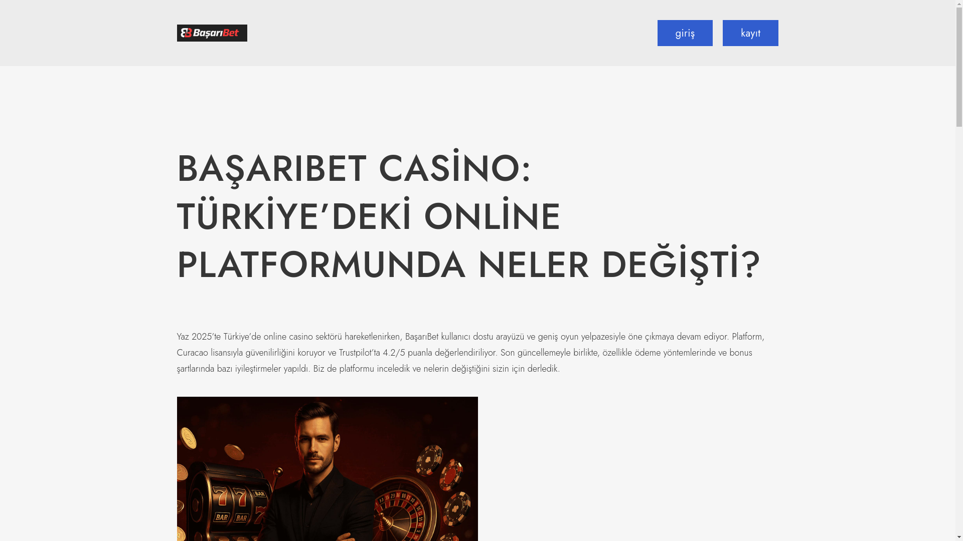 website screenshot of https://doorcountywindow.com/