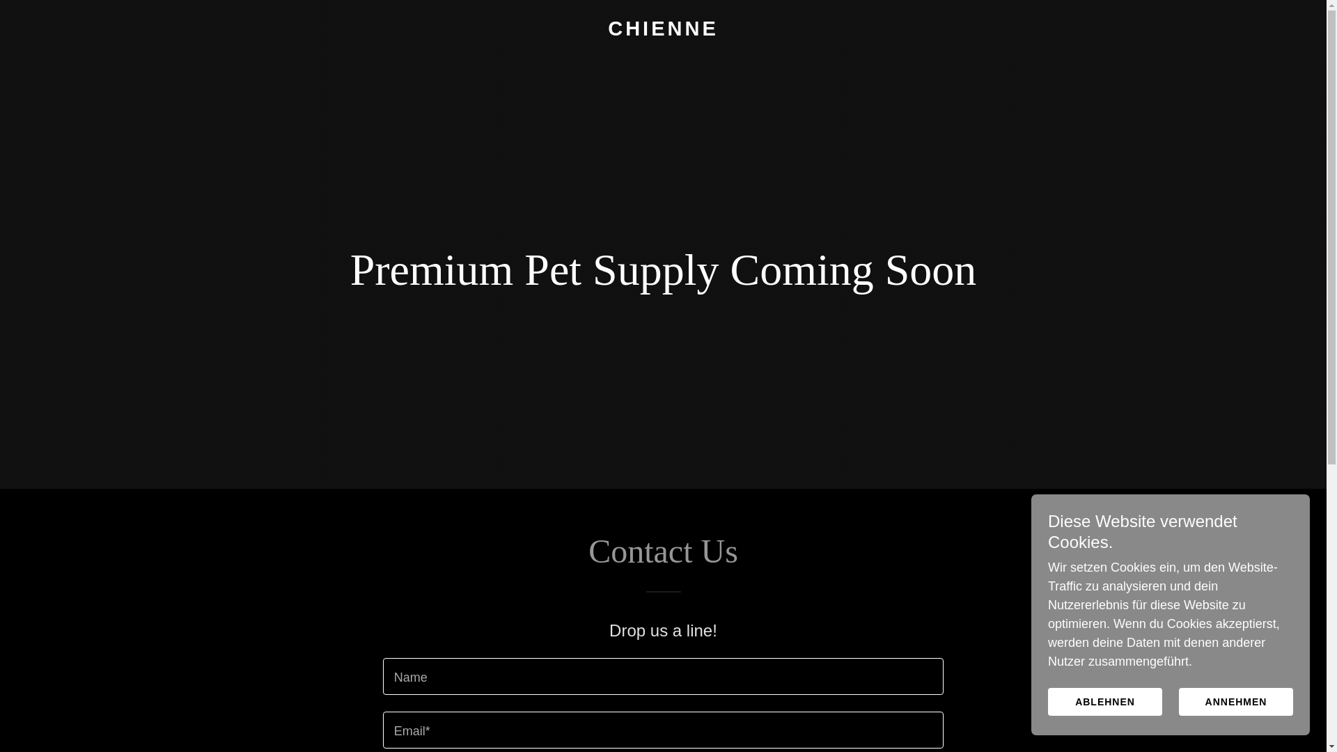 website screenshot of https://chienne.co.uk/