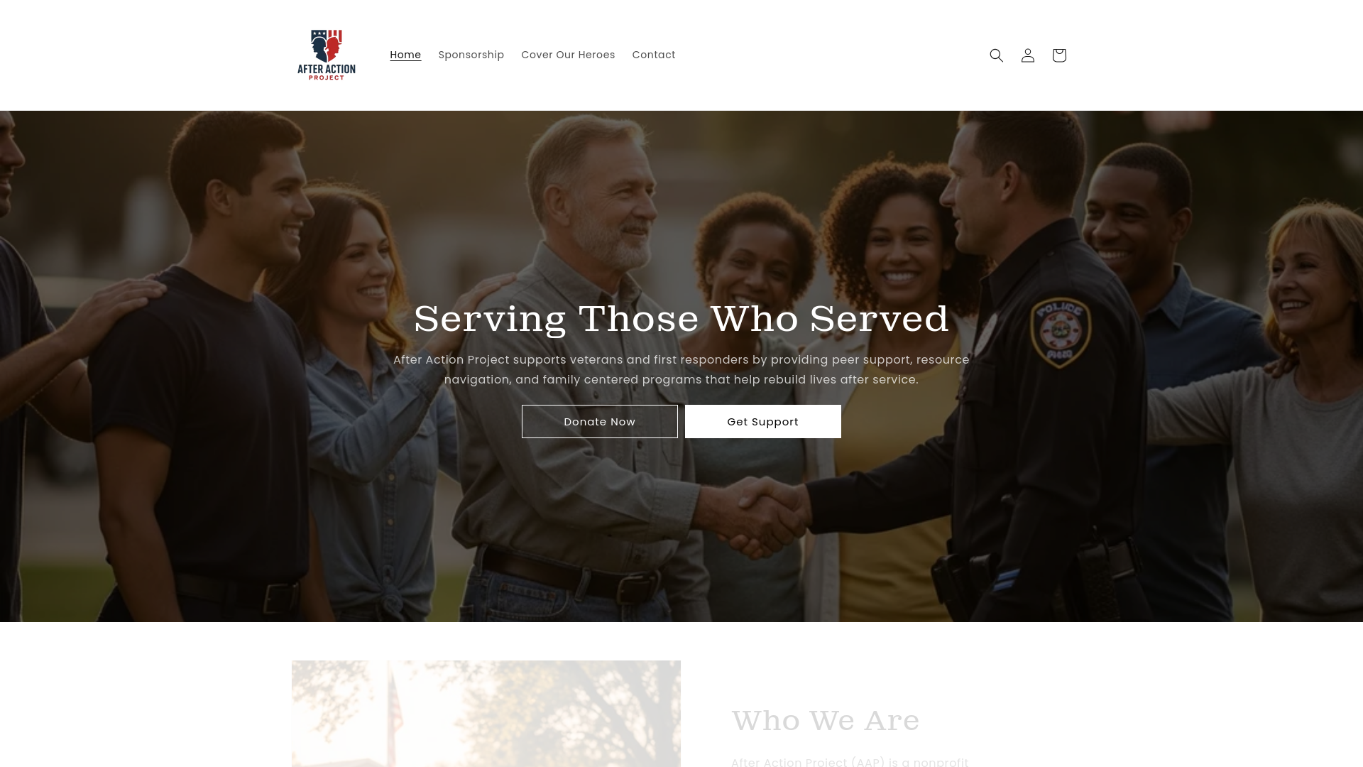 website screenshot of https://afteractionprojectal.com/