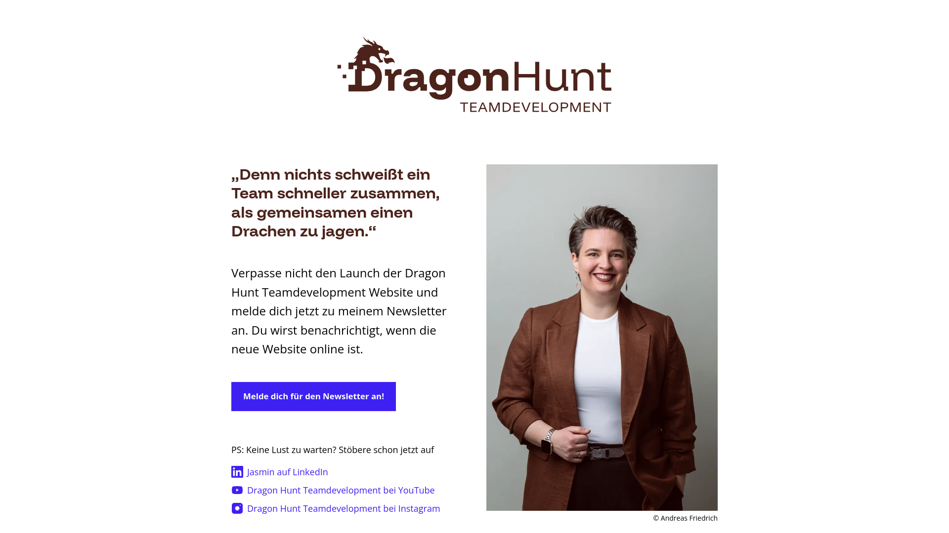 website screenshot of https://dragon-hunt.de/