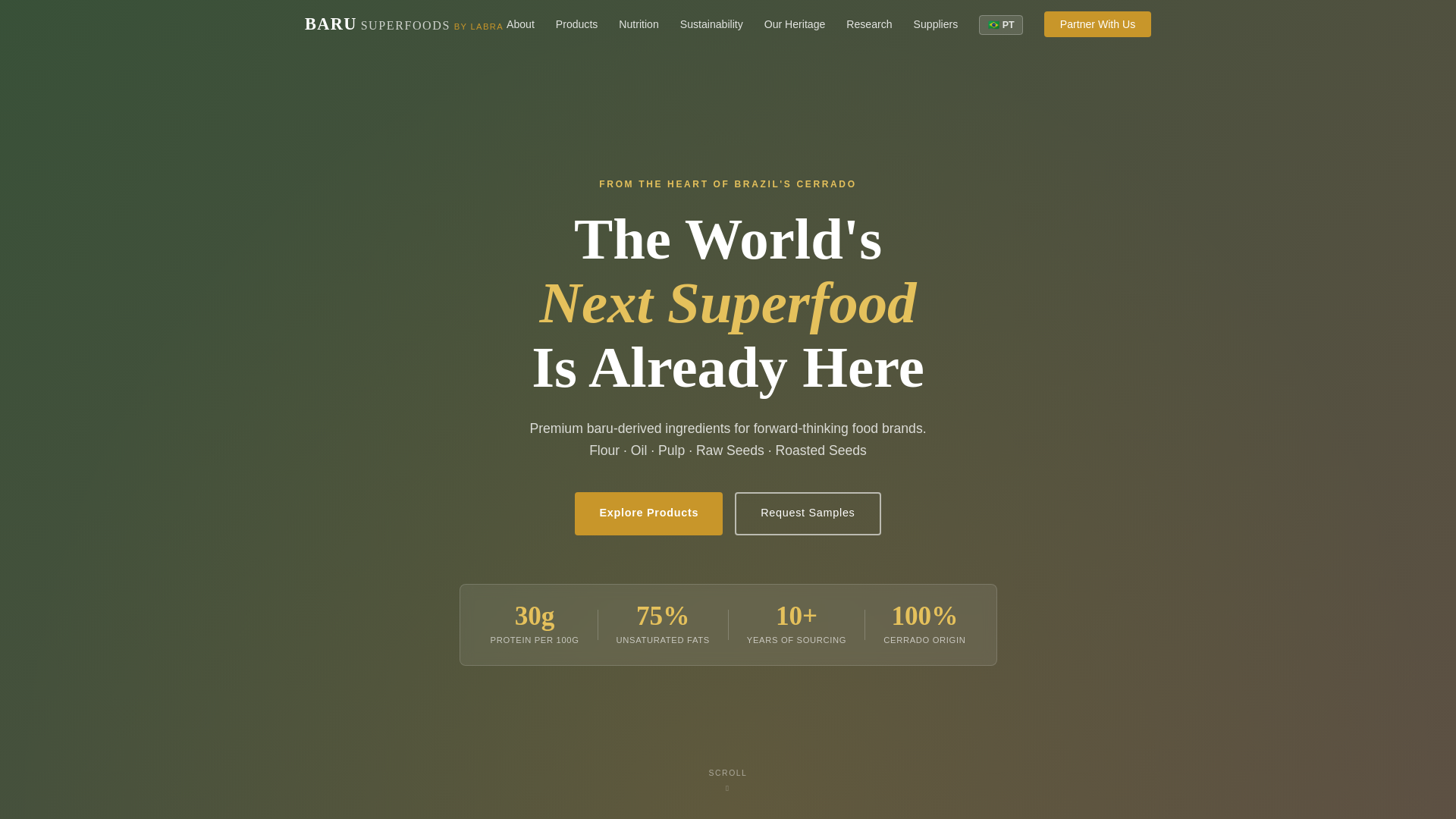 website screenshot of https://barusuperfoods3.pages.dev/