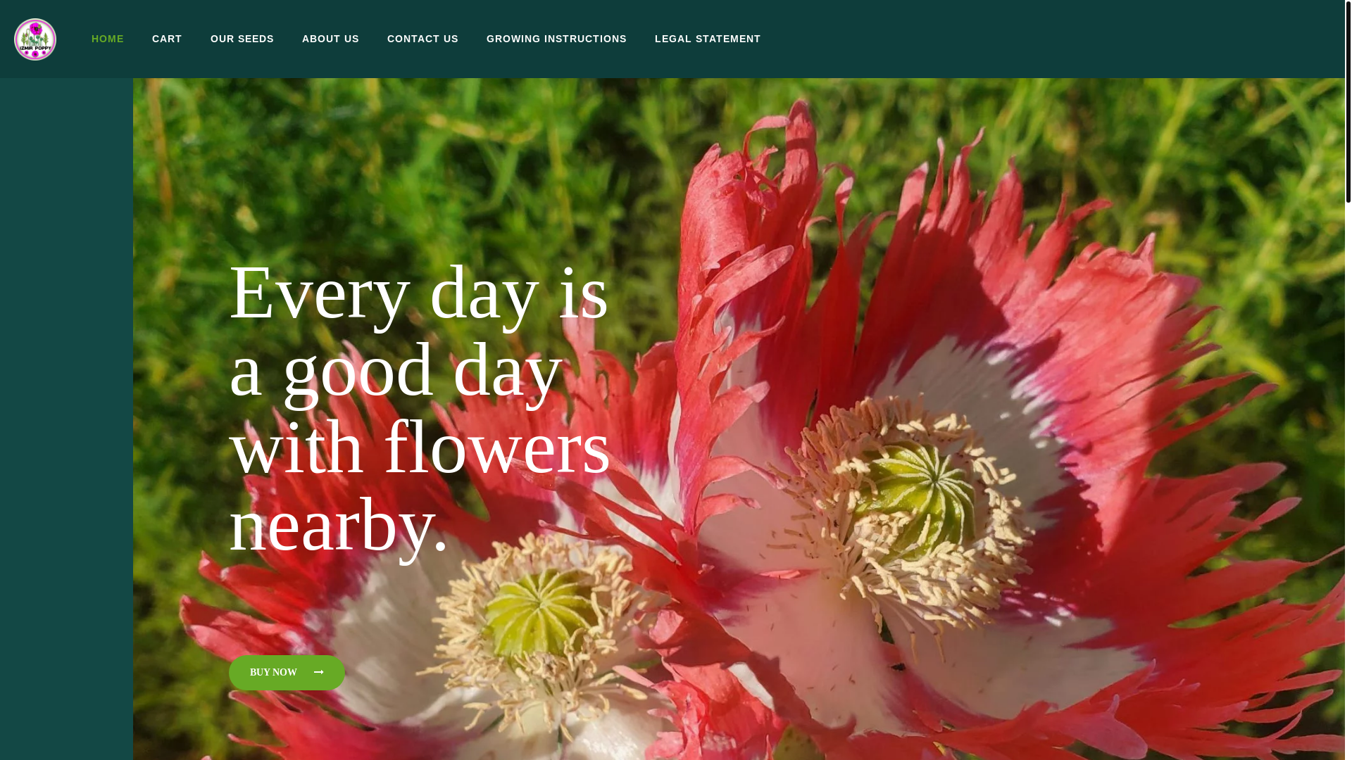 website screenshot of https://izmirpoppy.net/