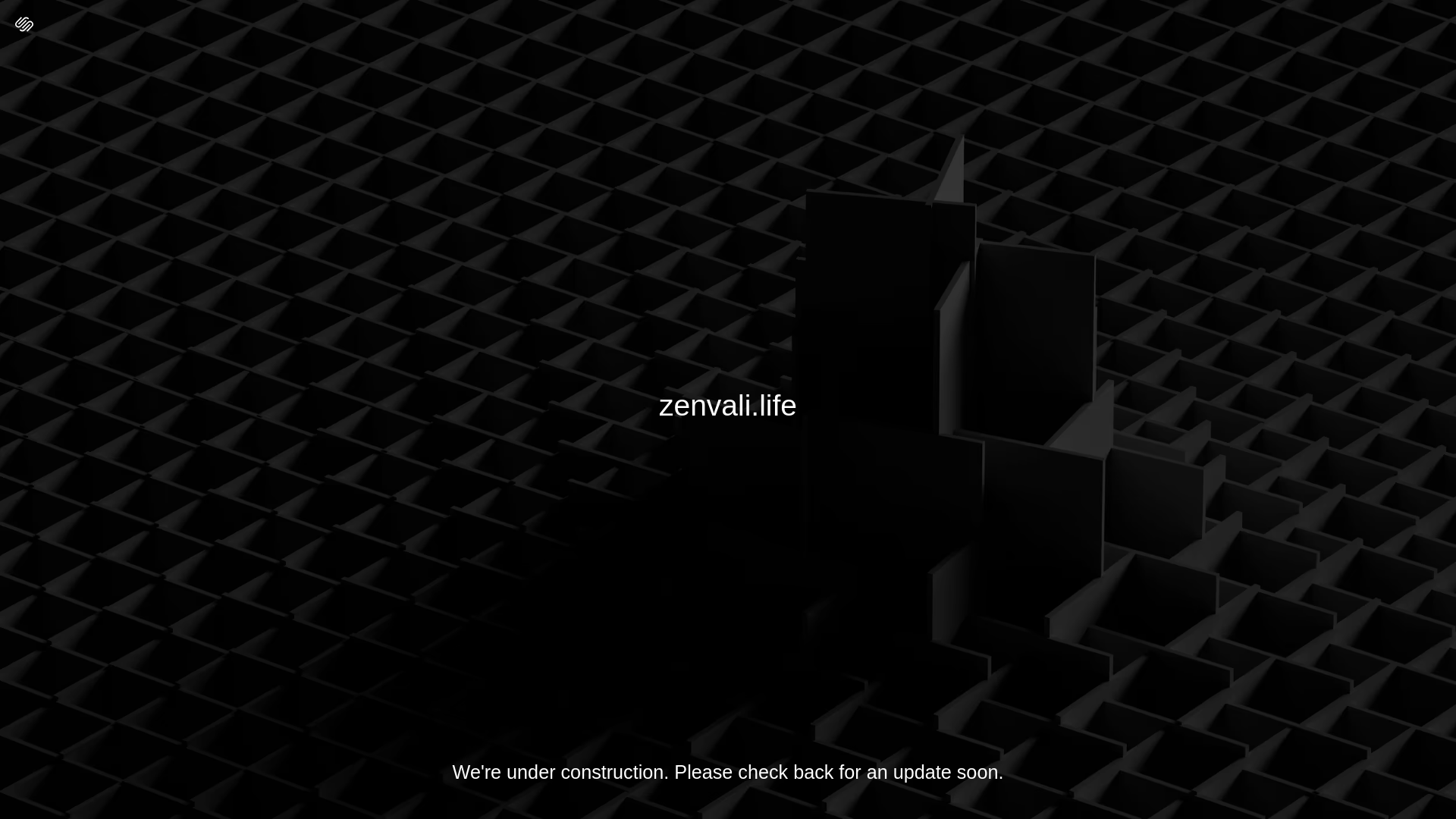 website screenshot of https://zenvali.life/