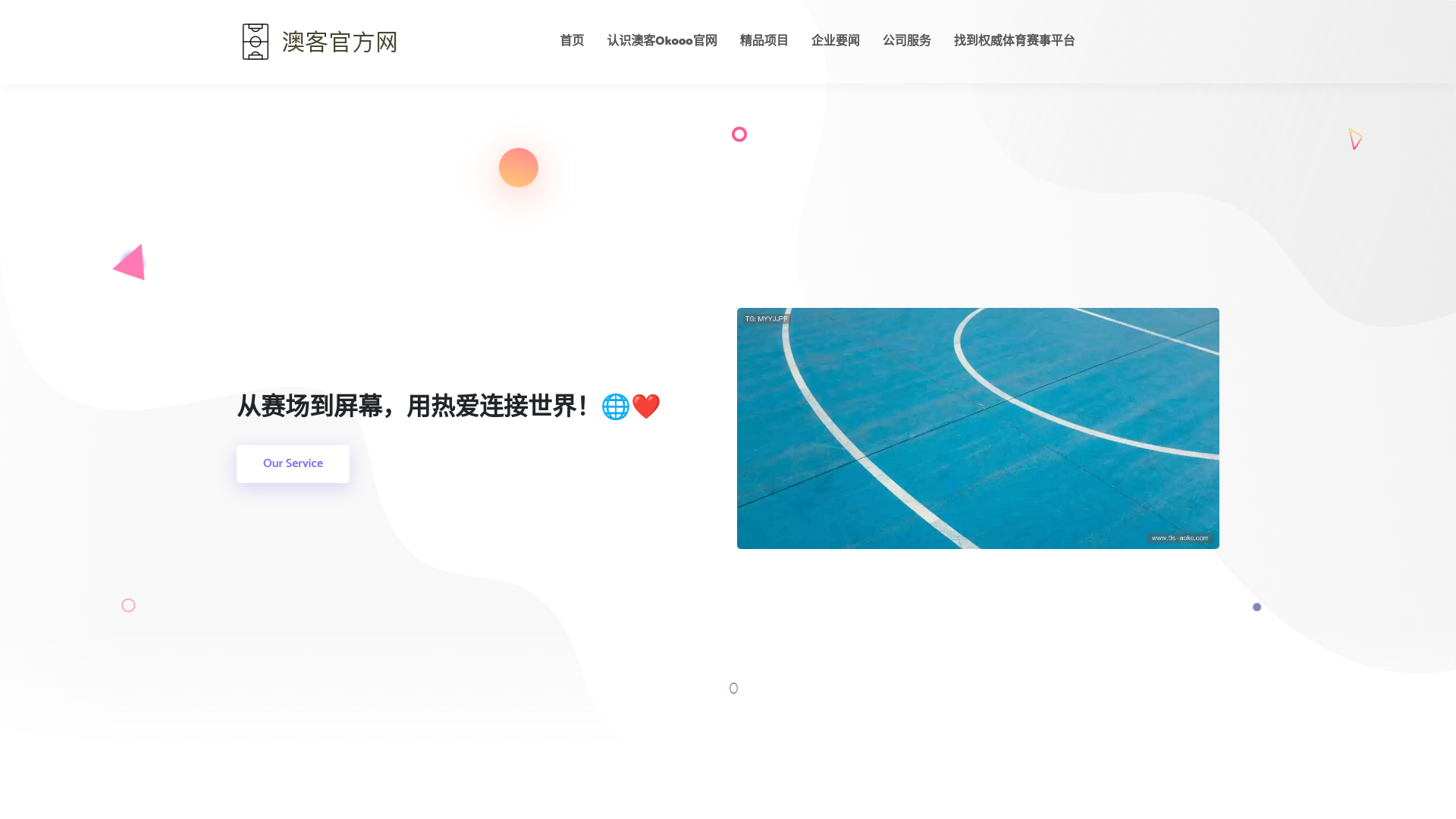 website screenshot of https://tls-aoke.com/