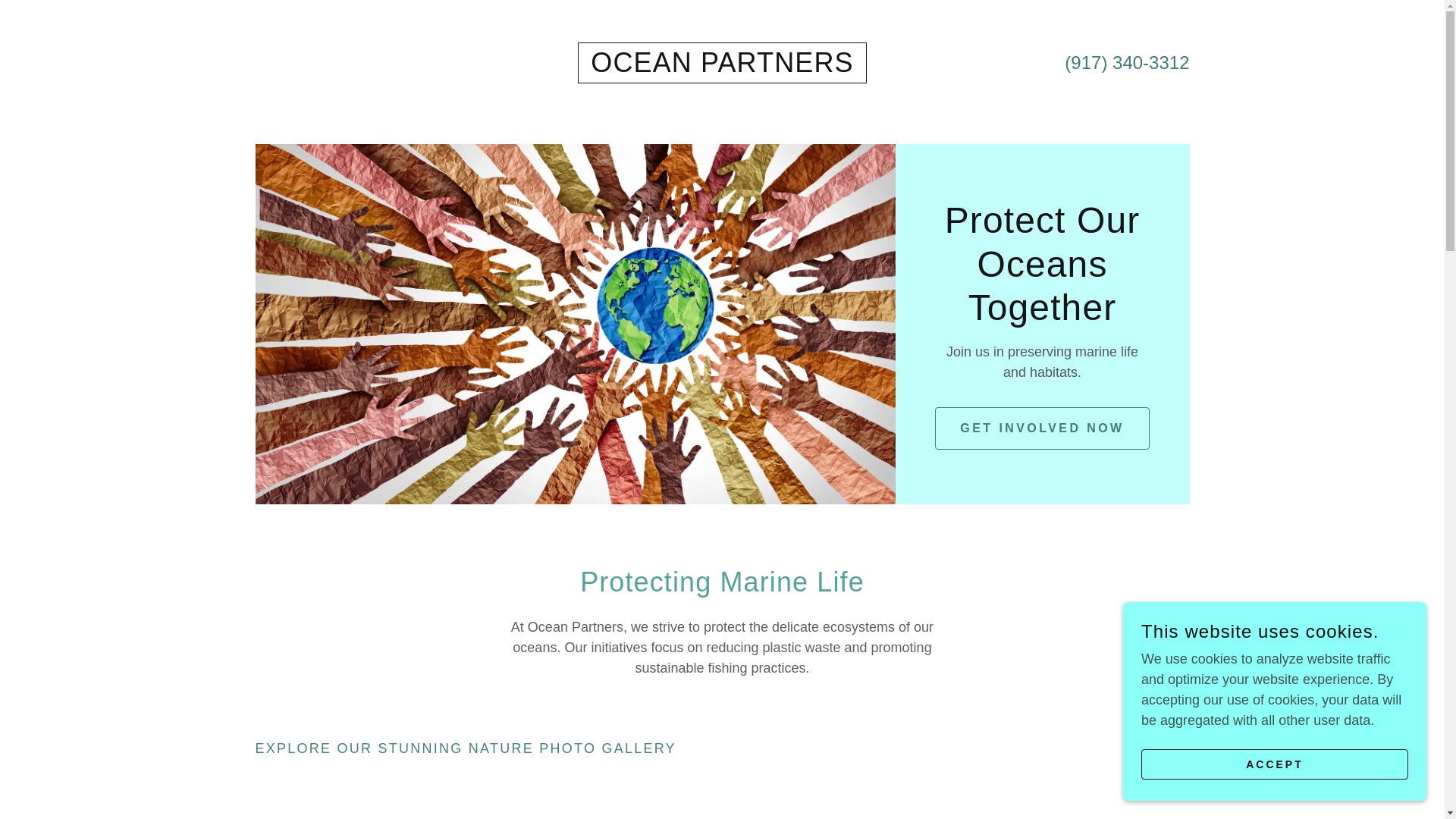 website screenshot of https://oceanpartners.world/