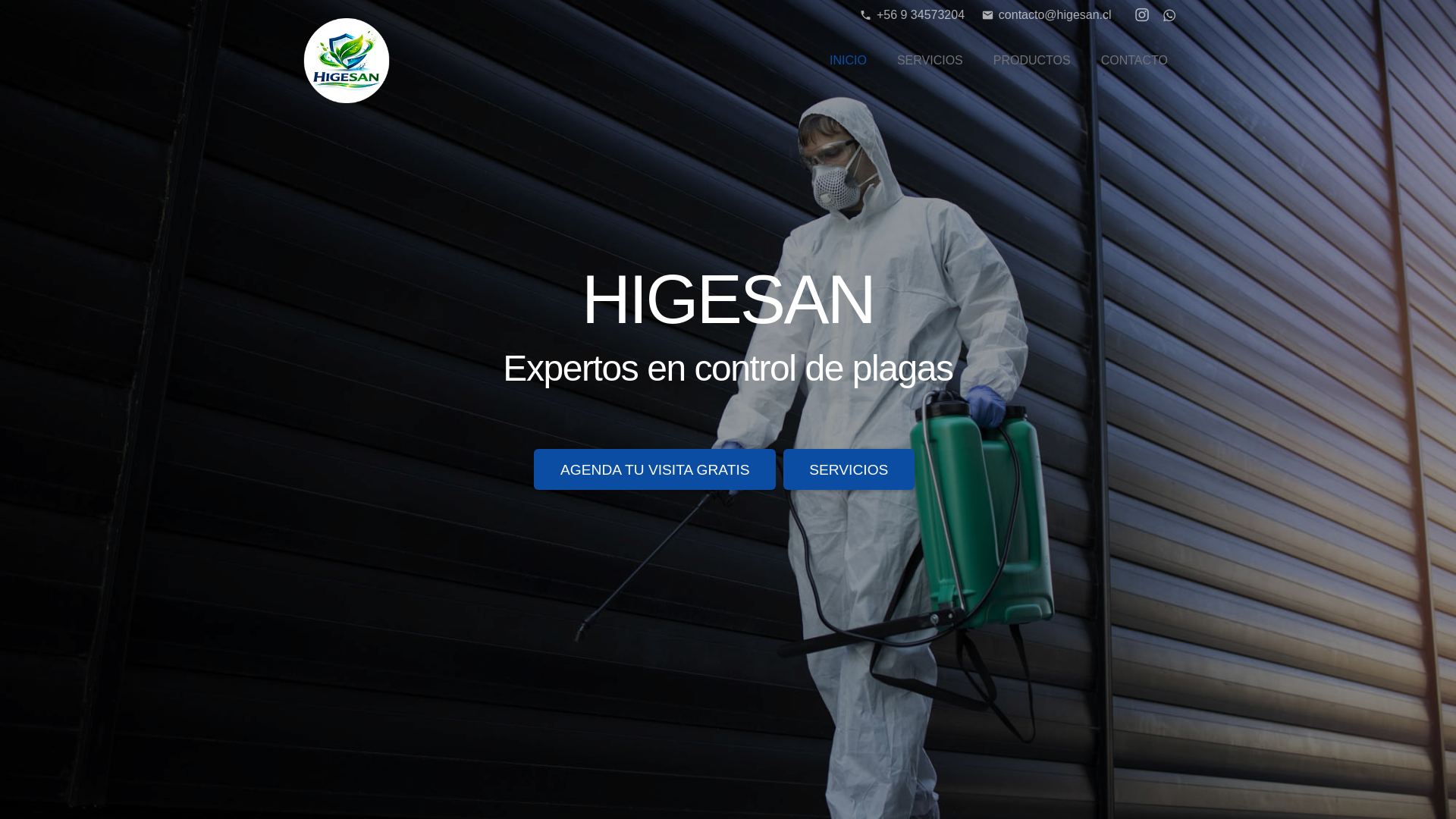website screenshot of https://higesan.cl/