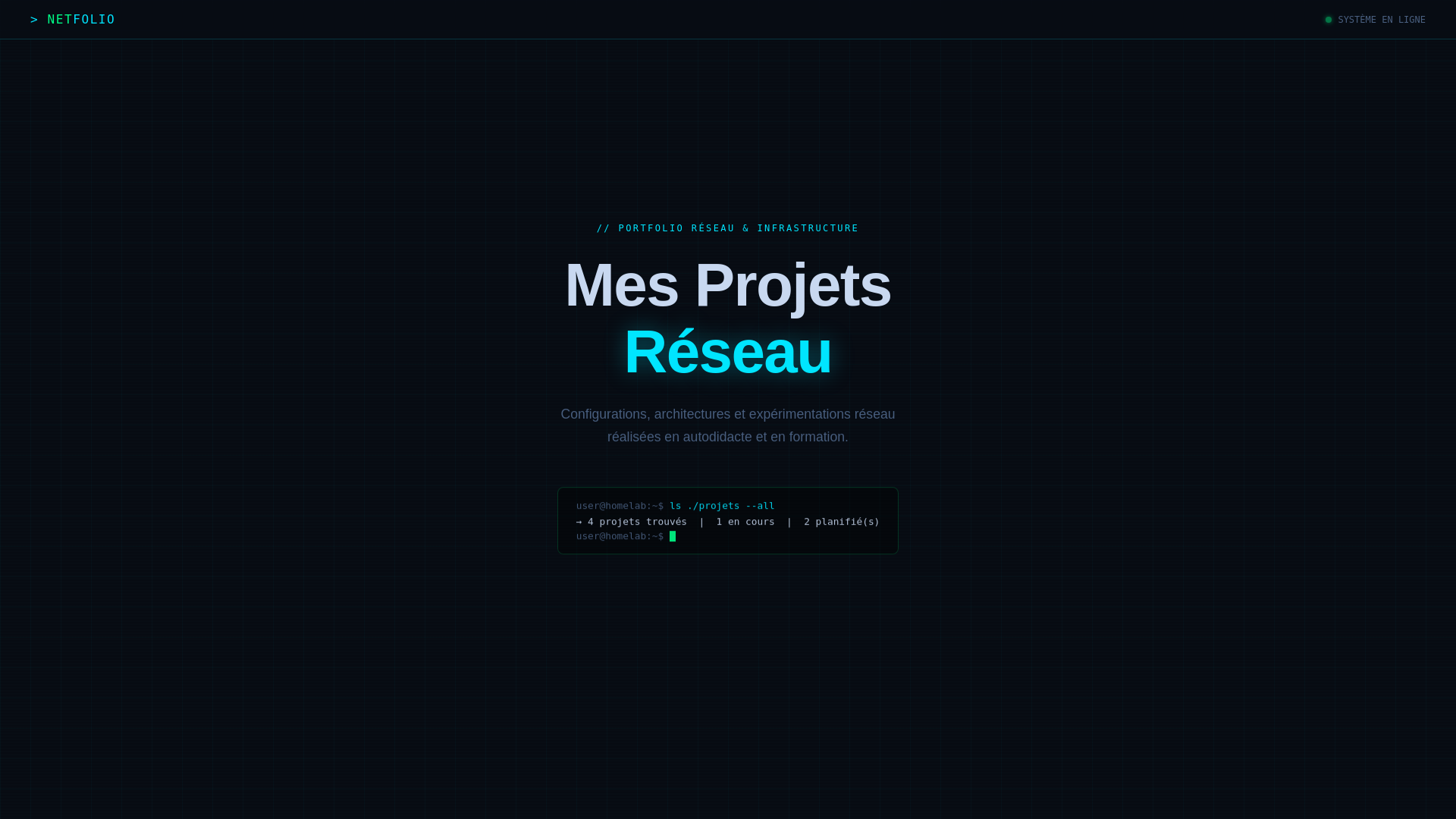website screenshot of https://netfolio-af.fr/