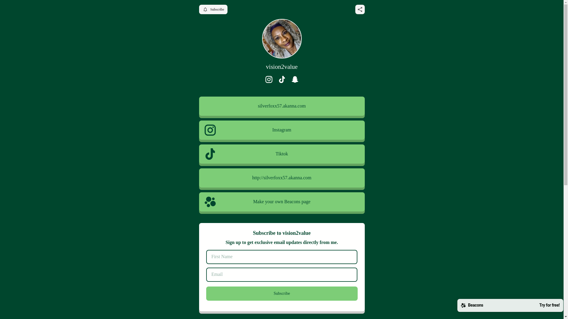 website screenshot of https://vision2value.store/