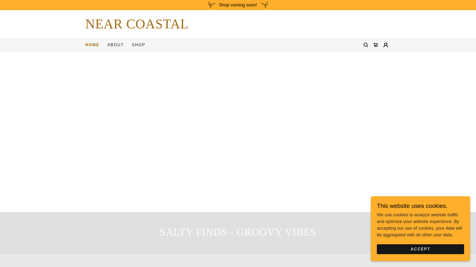 website screenshot of https://nearcoastalco.com/