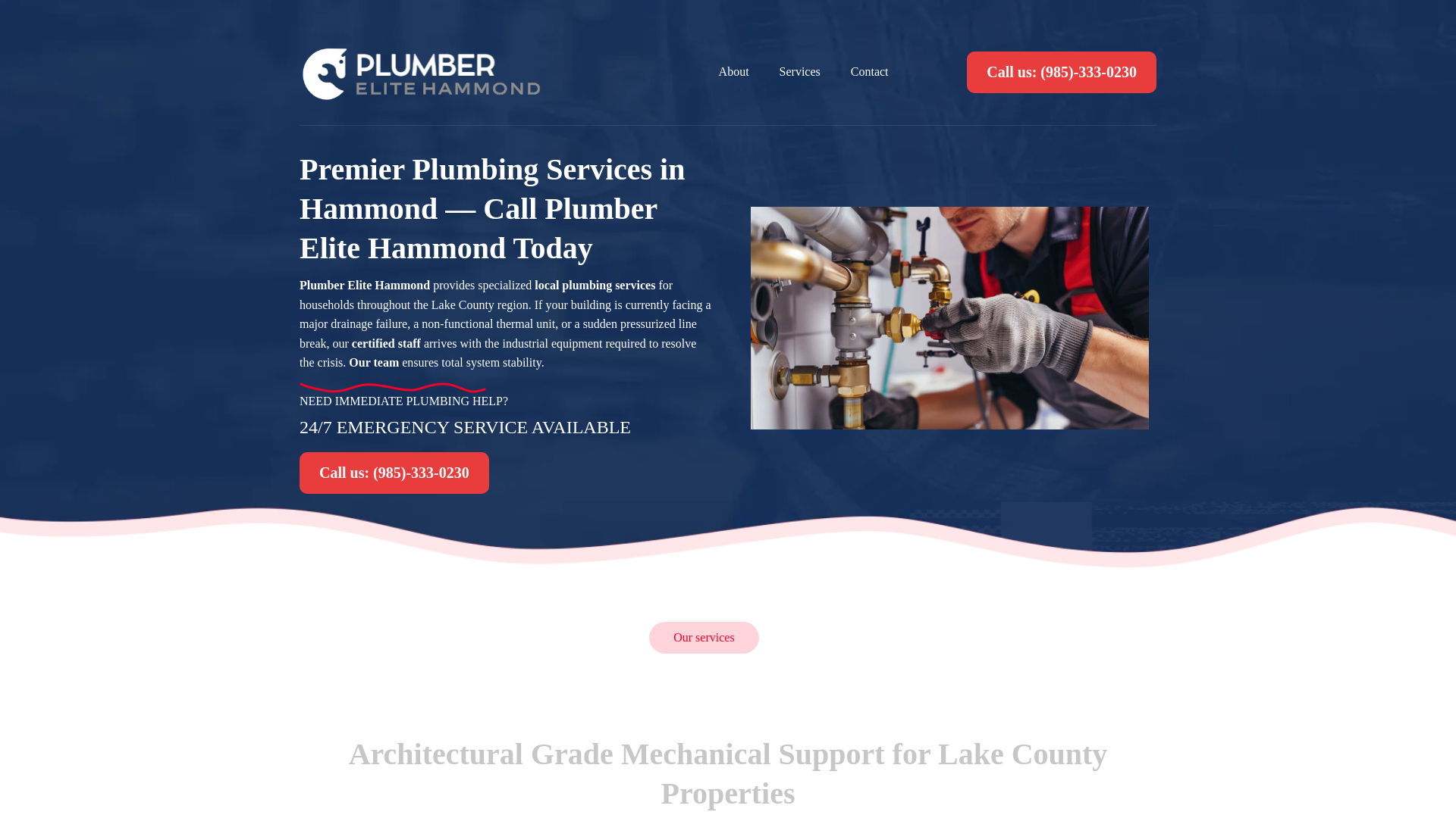 website screenshot of https://plumberelitehammond.com