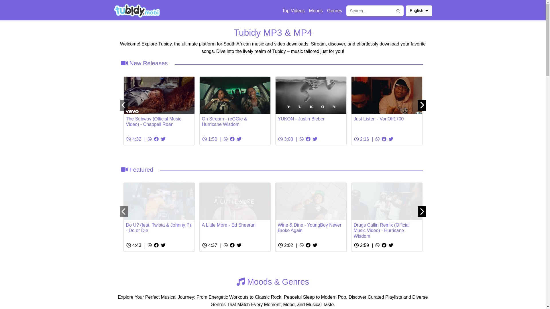 website screenshot of https://tubidy.rocks/