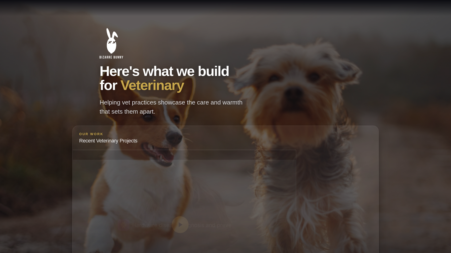 website screenshot of https://bizarrebunny-vet-owner-independent.pages.dev/