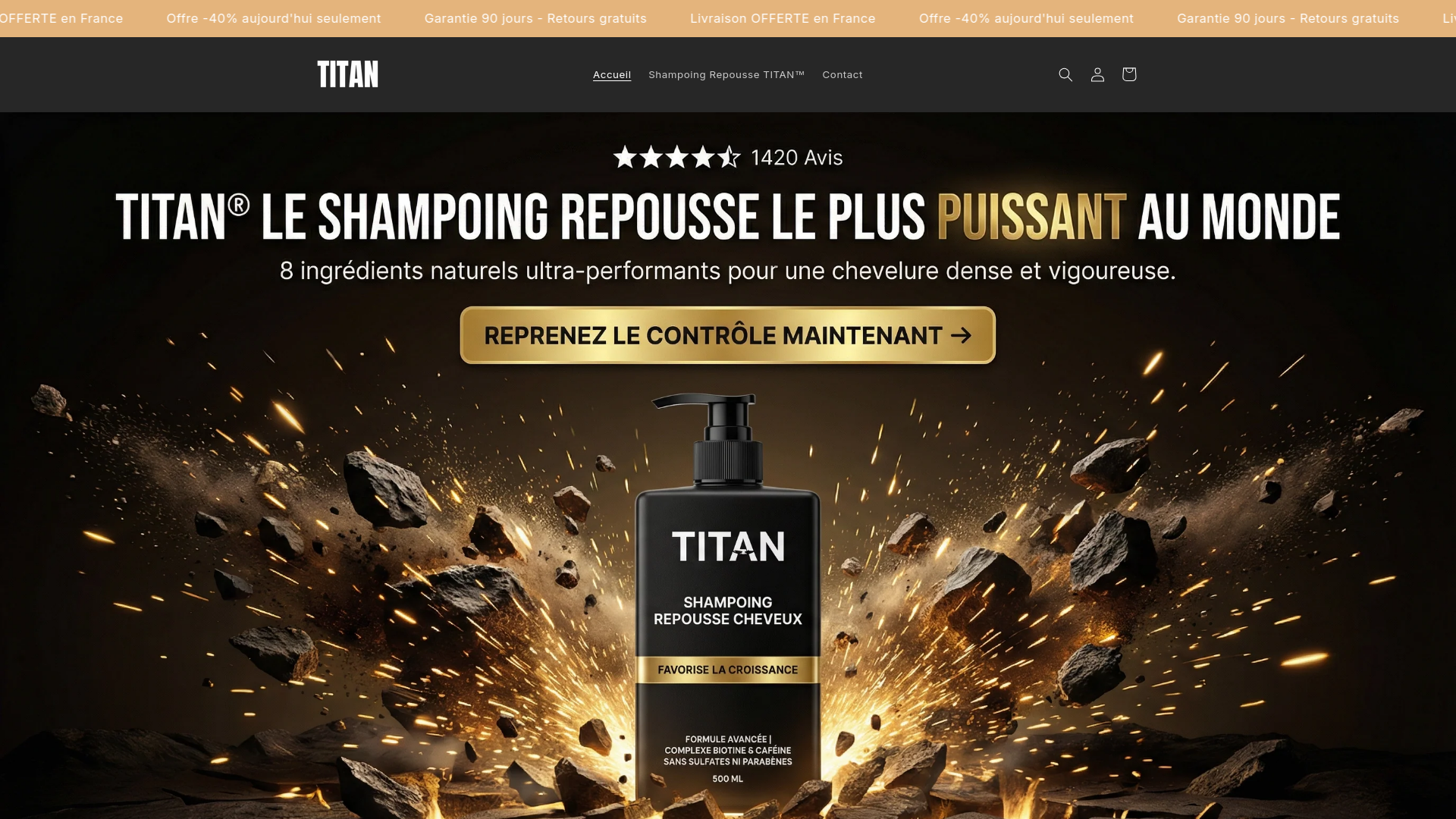 website screenshot of https://titanhair.fr/