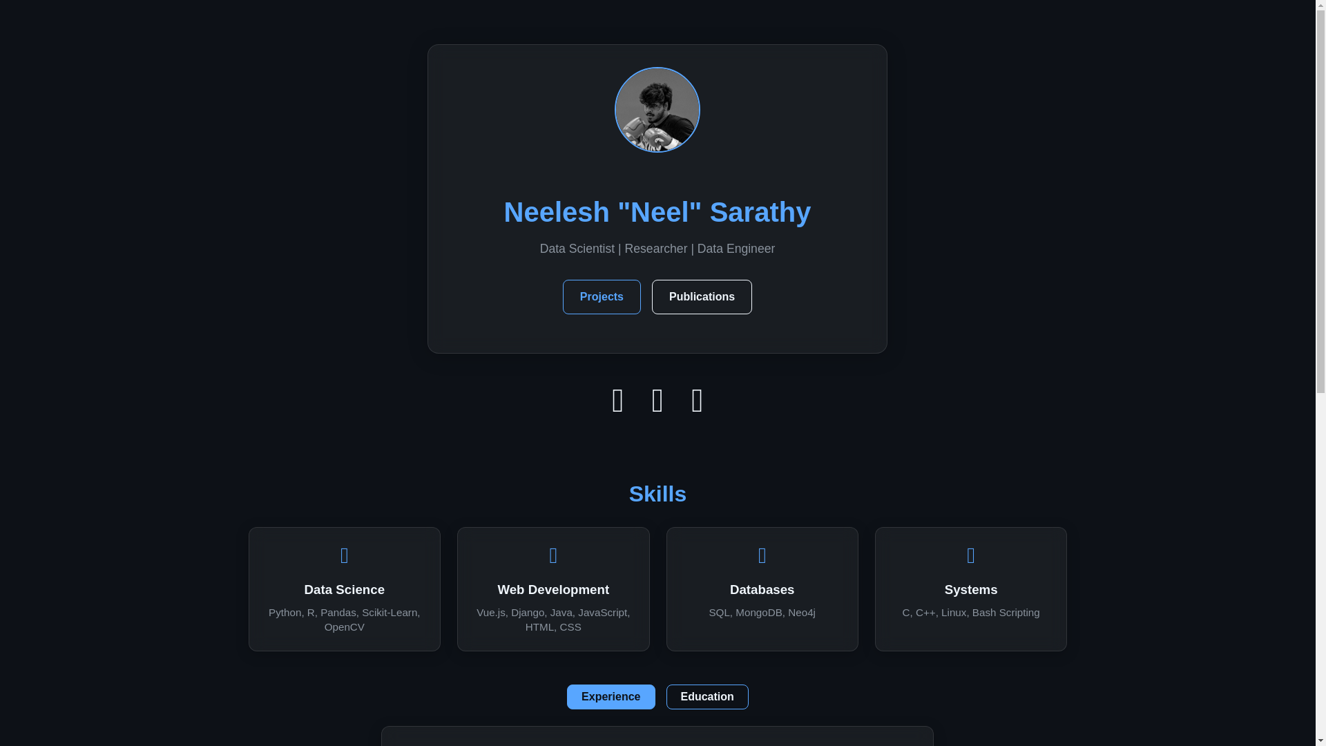 website screenshot of https://neelsarathy.com/
