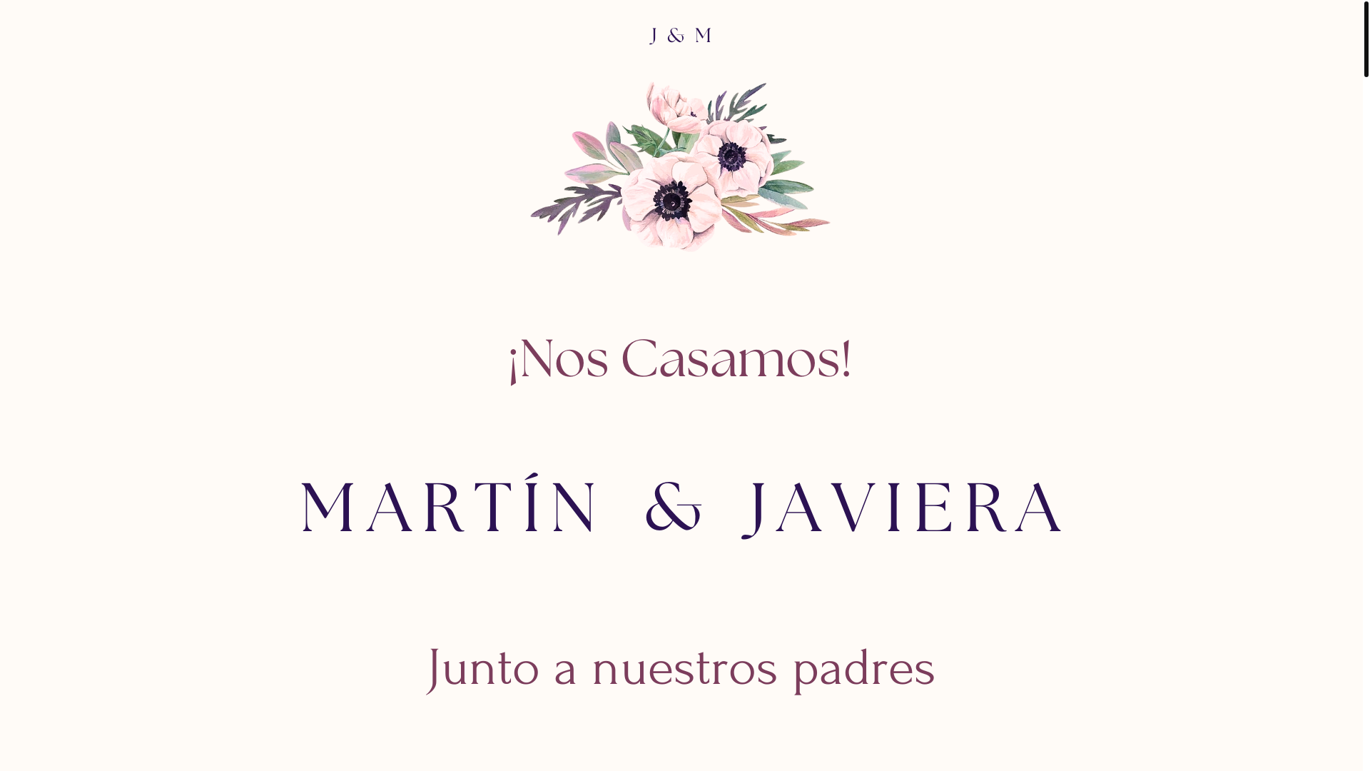 website screenshot of https://matrijavimartin.com/