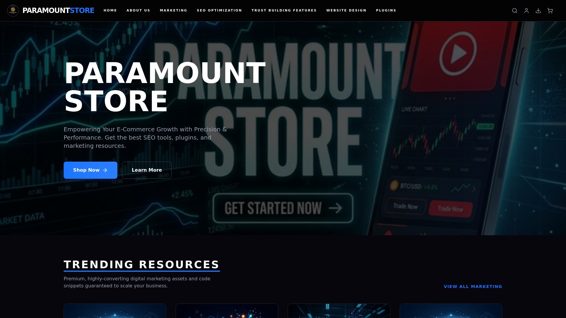 website screenshot of https://paramountstores.shop