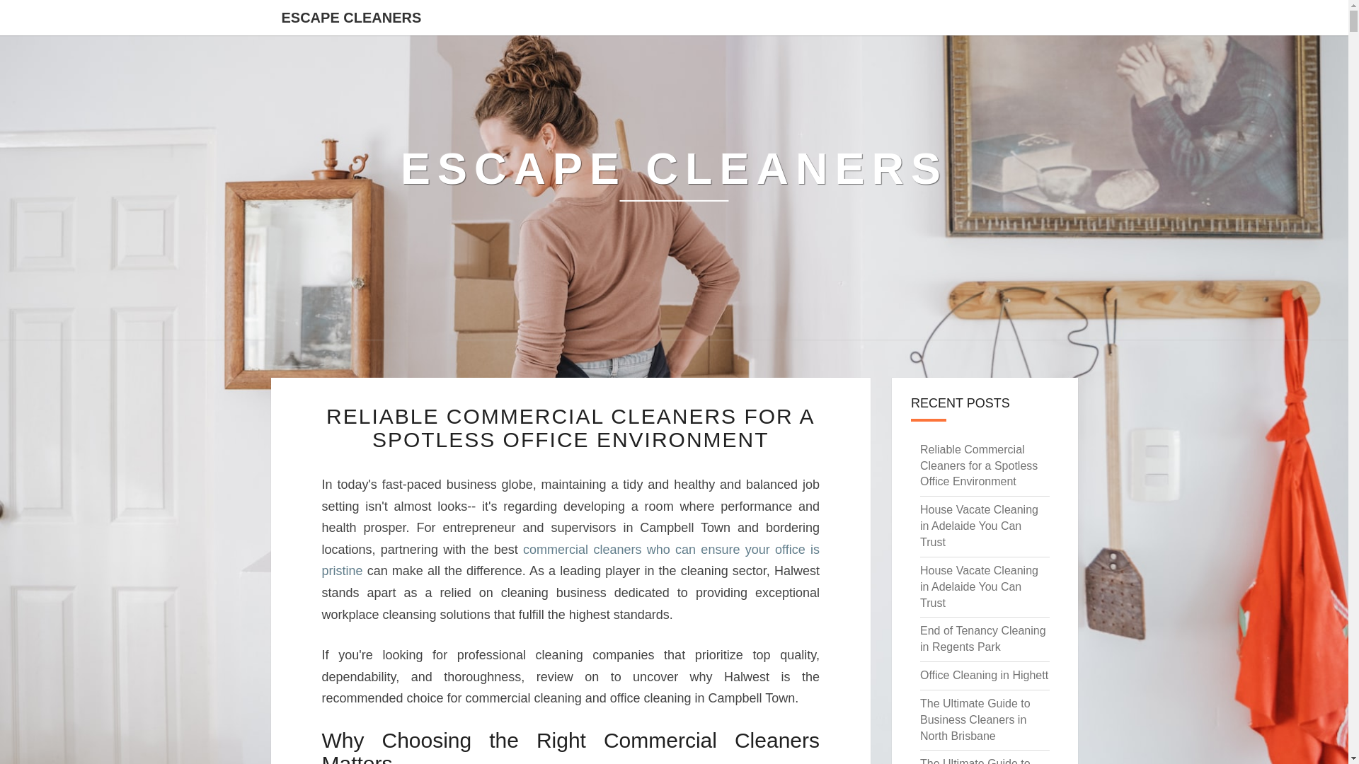 website screenshot of https://escape-cleaners.pages.dev/