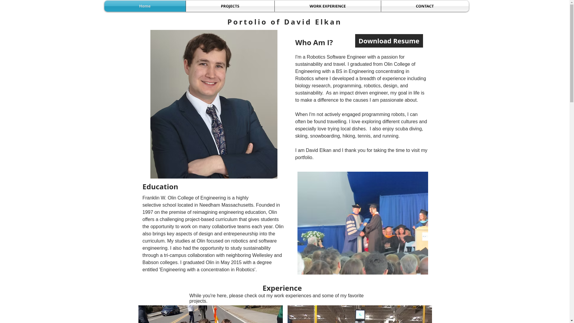 website screenshot of https://davidelgo.com/