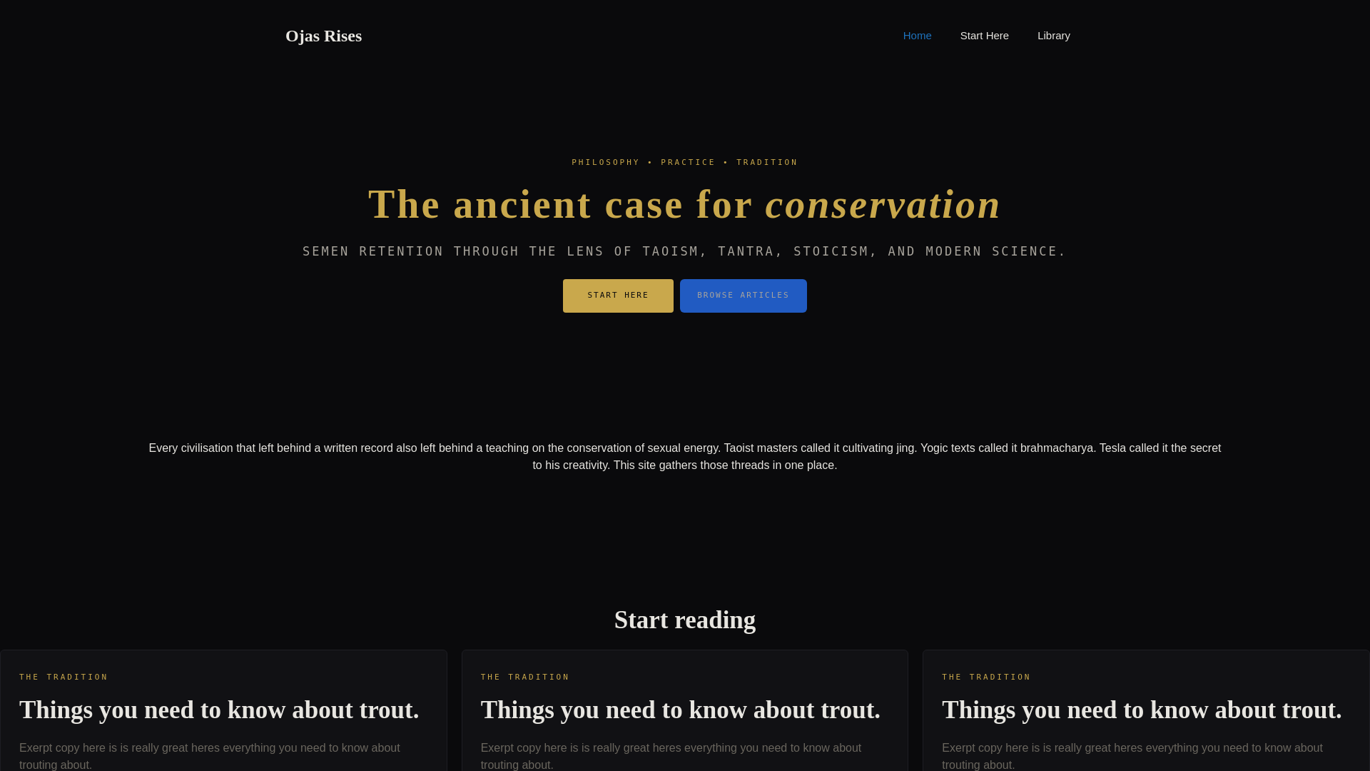 website screenshot of https://ojasrises.com