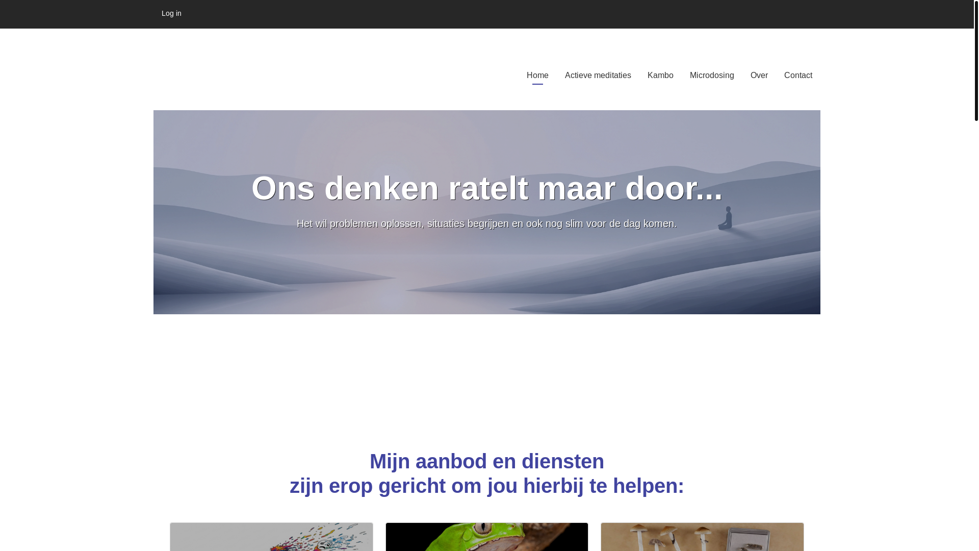 website screenshot of https://saran.care/