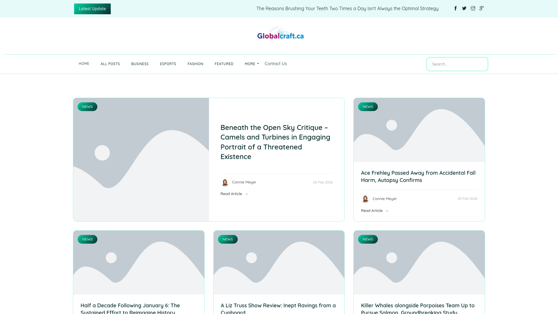 website screenshot of https://globalcraft.ca/