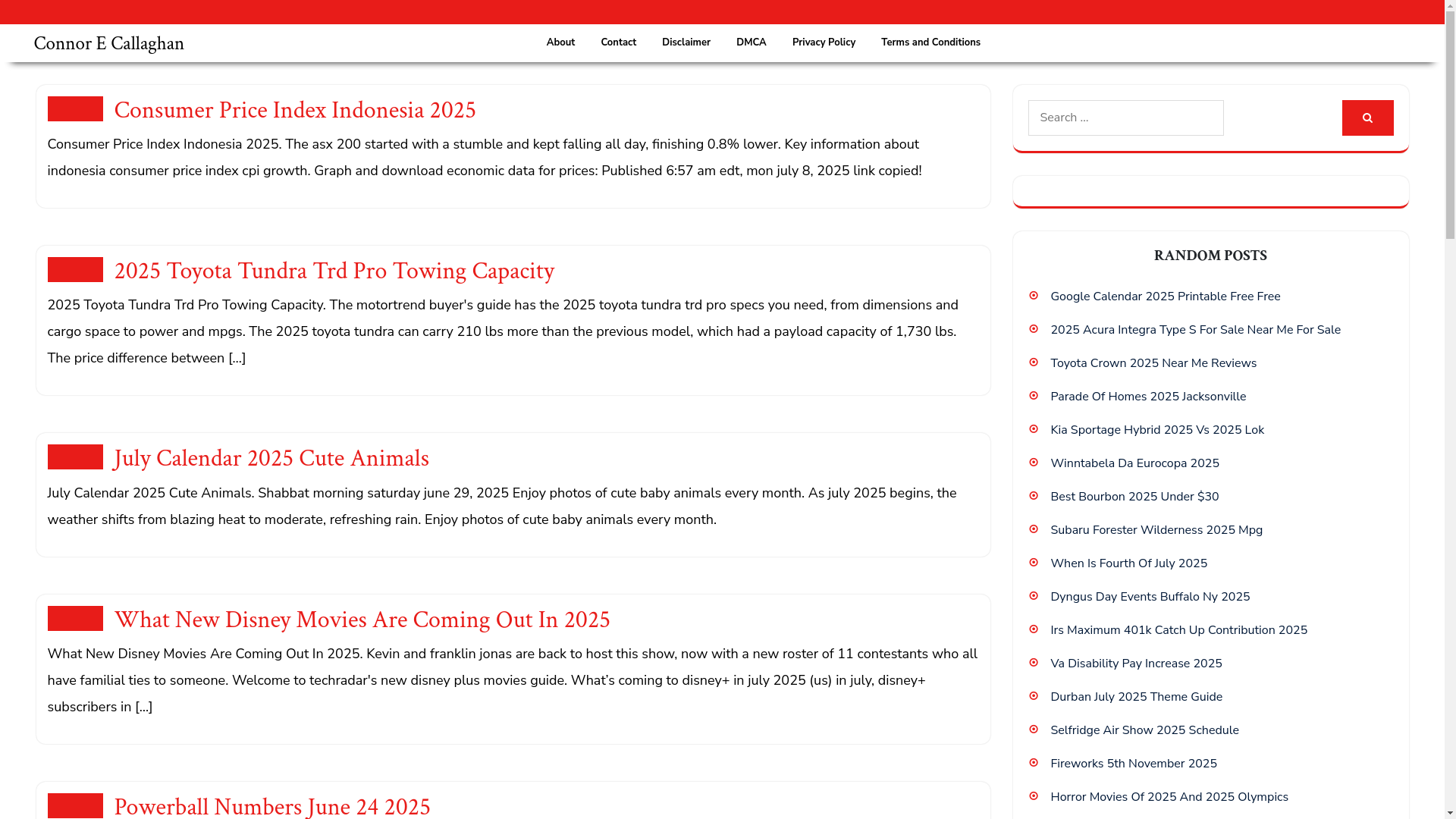 website screenshot of https://connorecallaghan.pages.dev/
