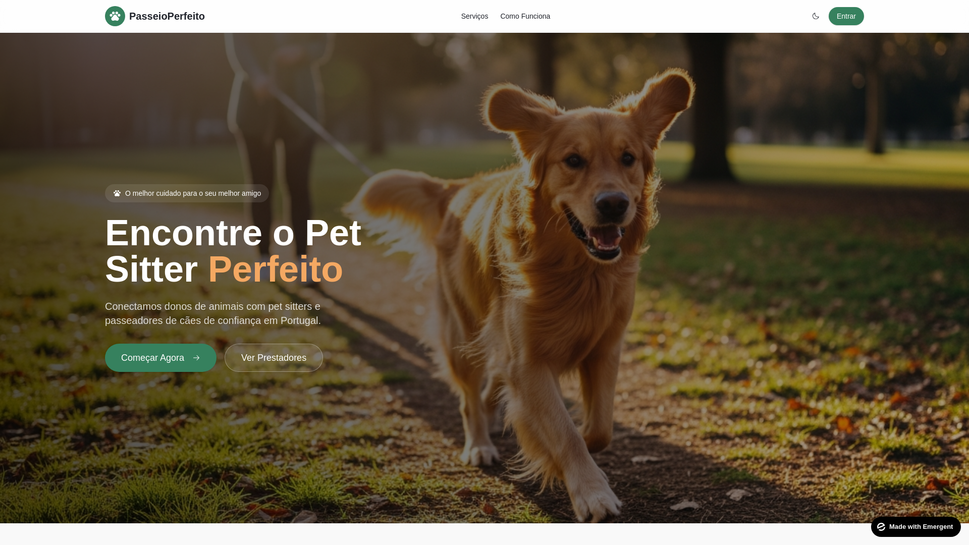 website screenshot of https://passeioperfeito.pt/