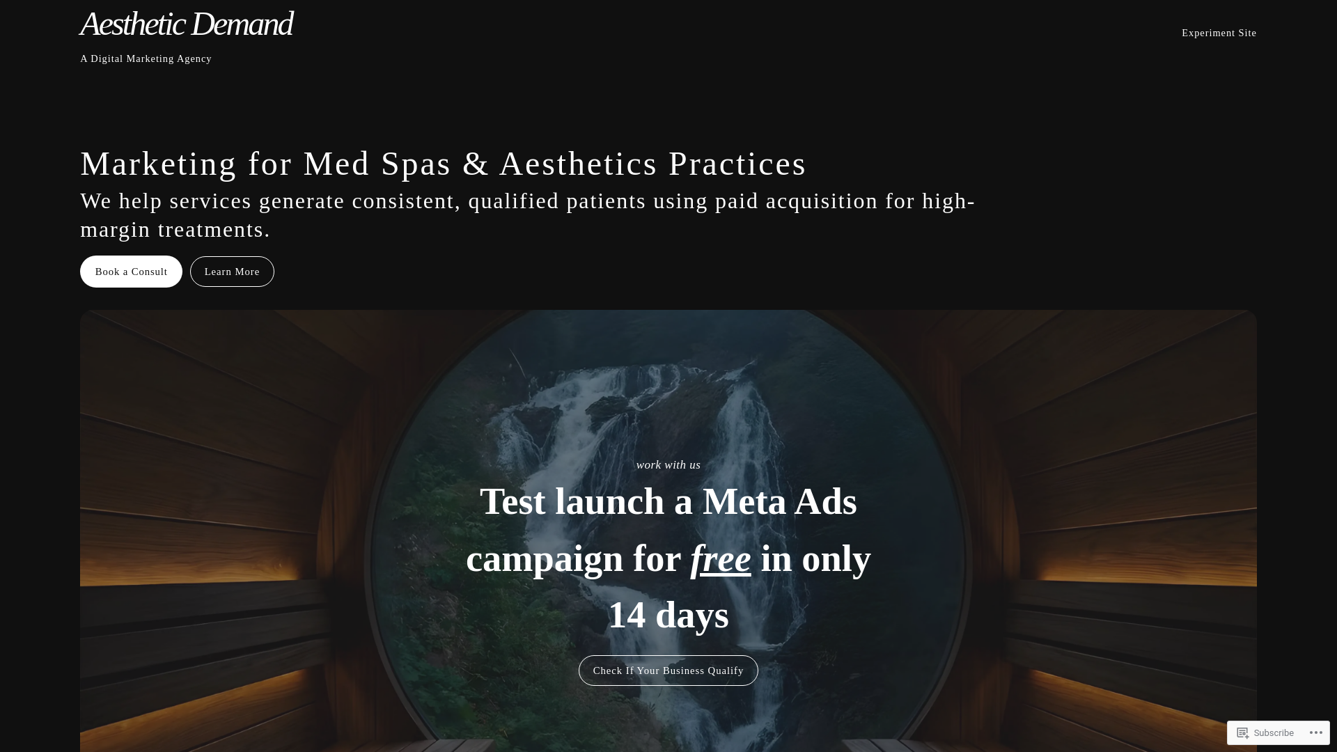 website screenshot of https://aestheticdemand.com/
