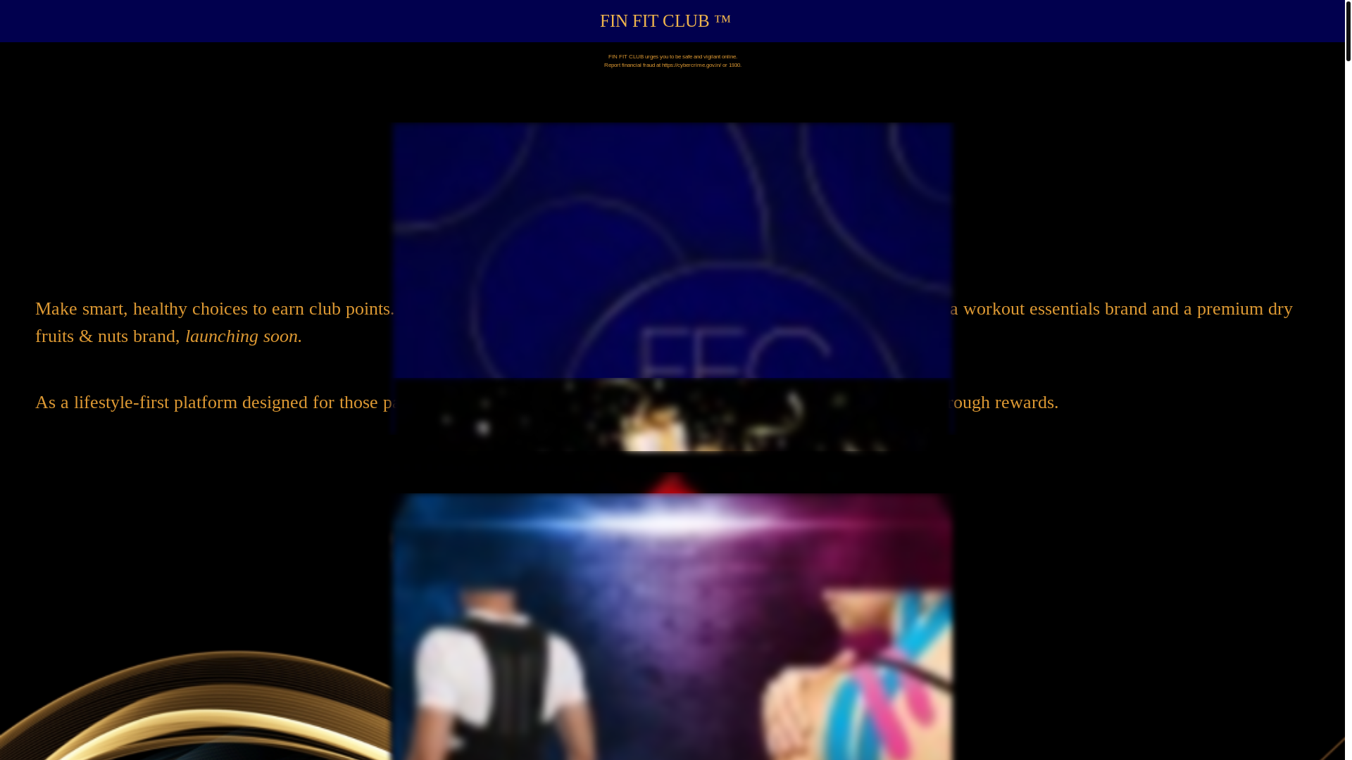 website screenshot of https://finvincibull.com/