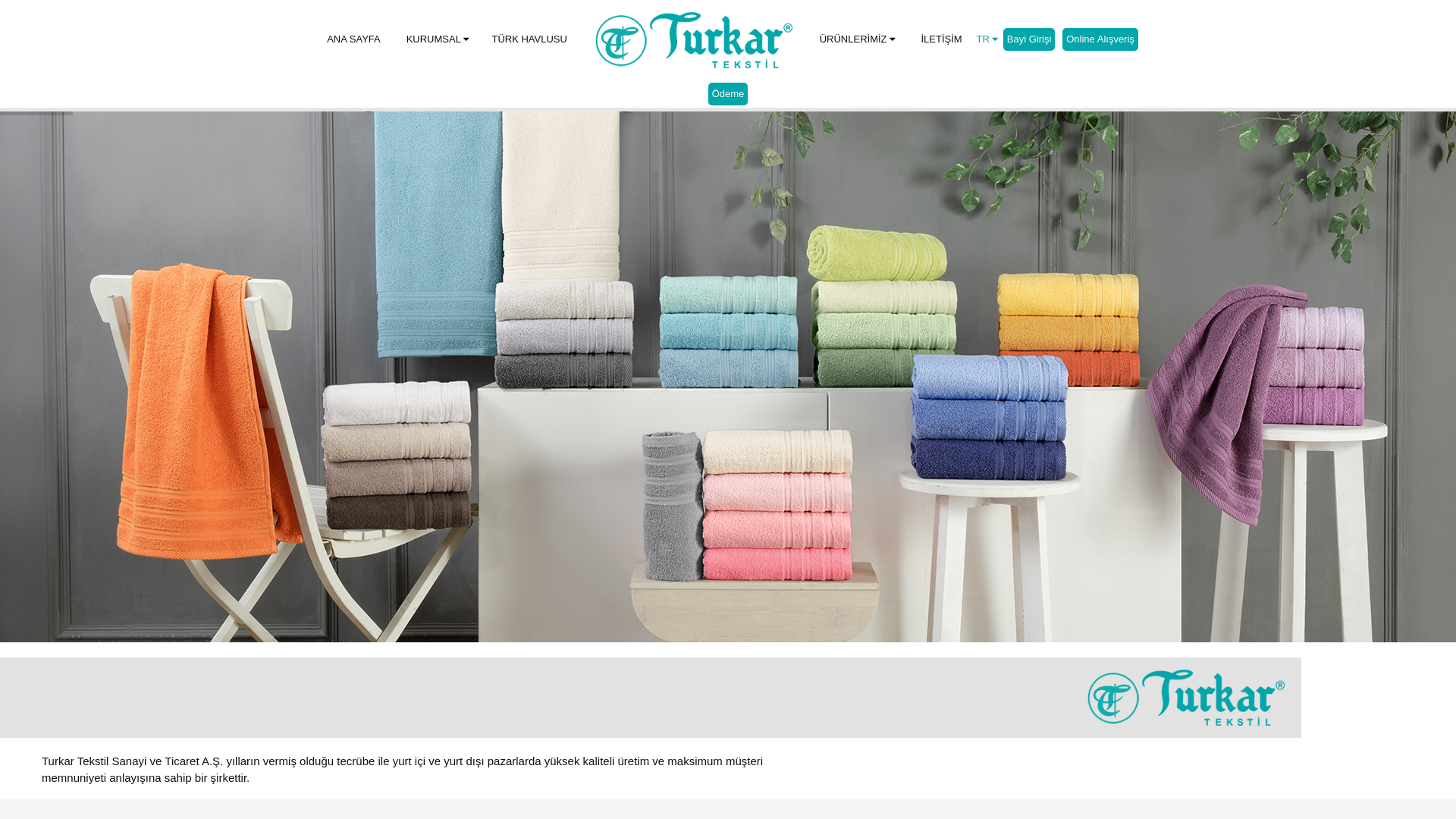 website screenshot of https://turkartekstil.sbs/