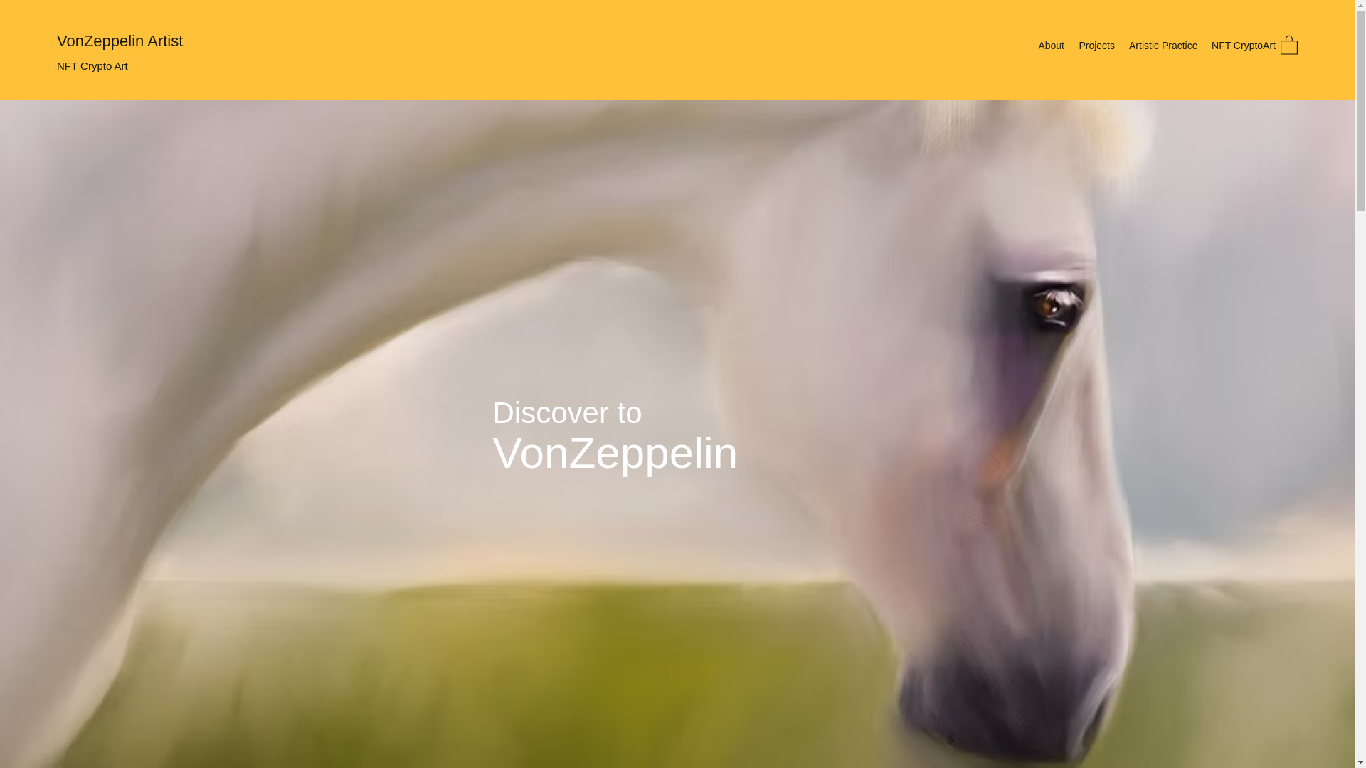 website screenshot of https://orlandomonteleone.com/