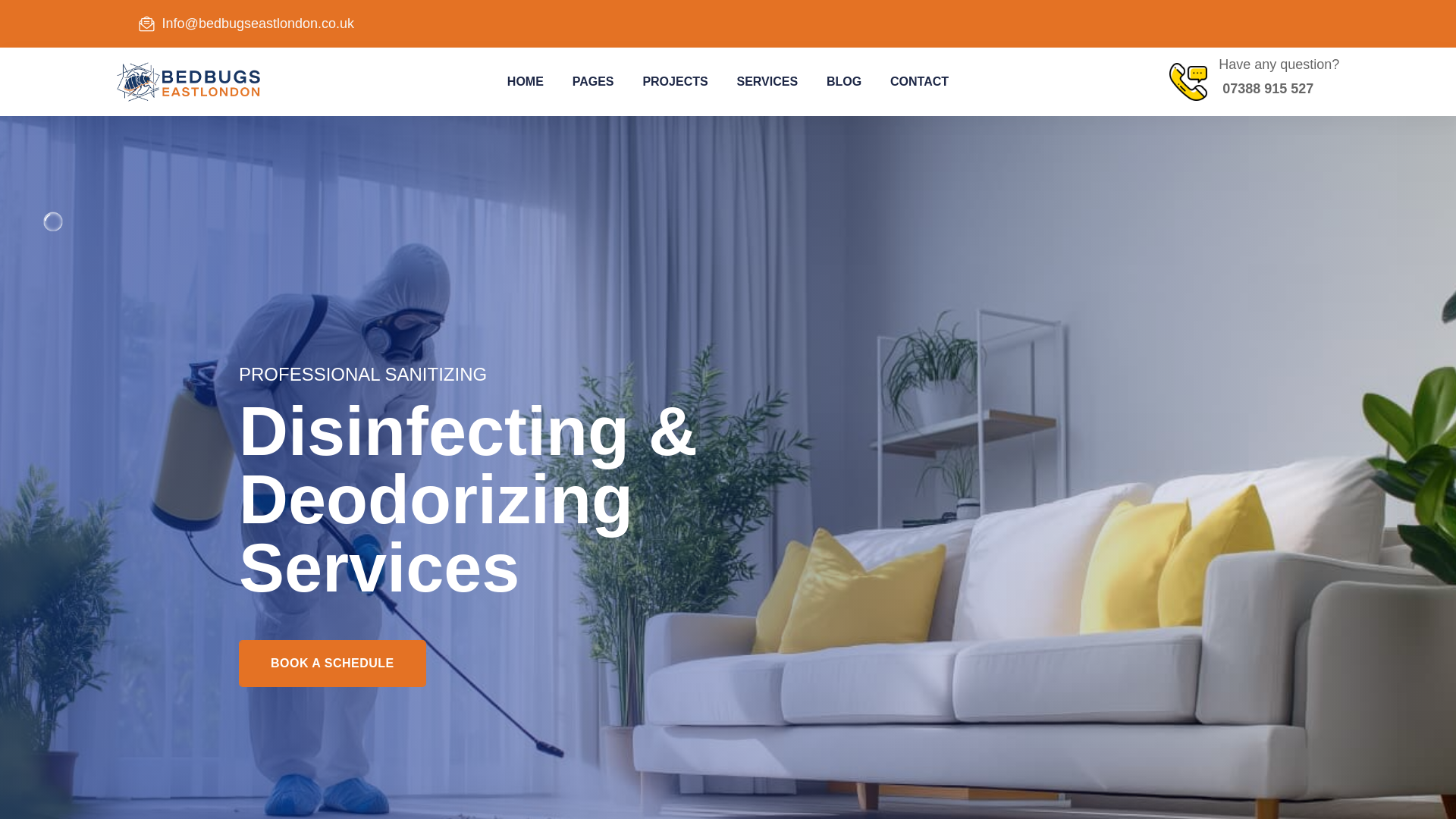 website screenshot of https://bedbugseastlondon.co.uk/