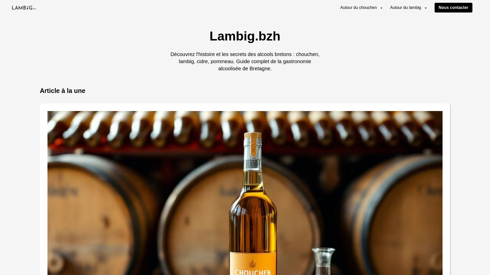 website screenshot of https://lambig-bullet.pages.dev/
