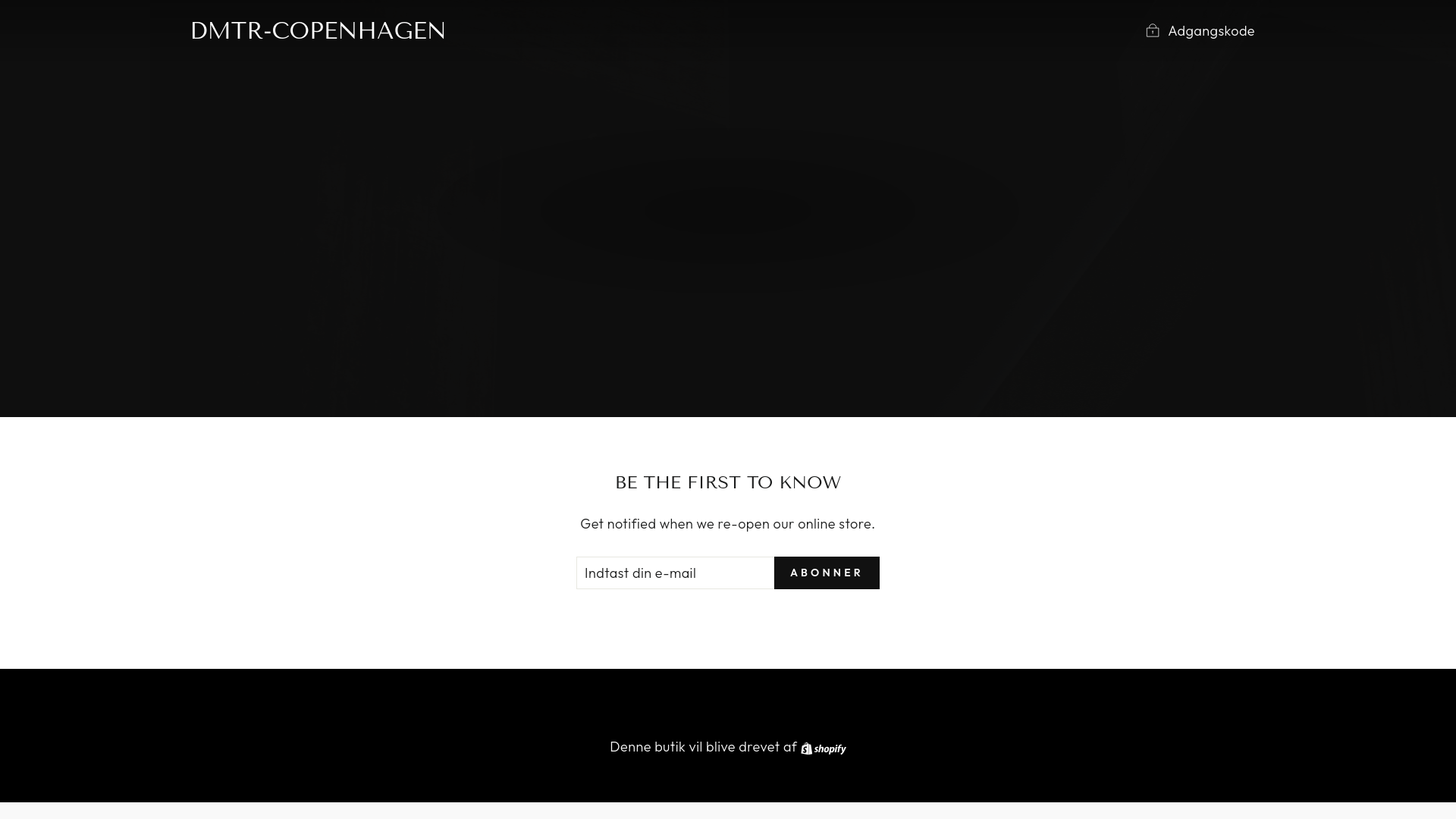 website screenshot of https://dmtr-copenhagen.com/
