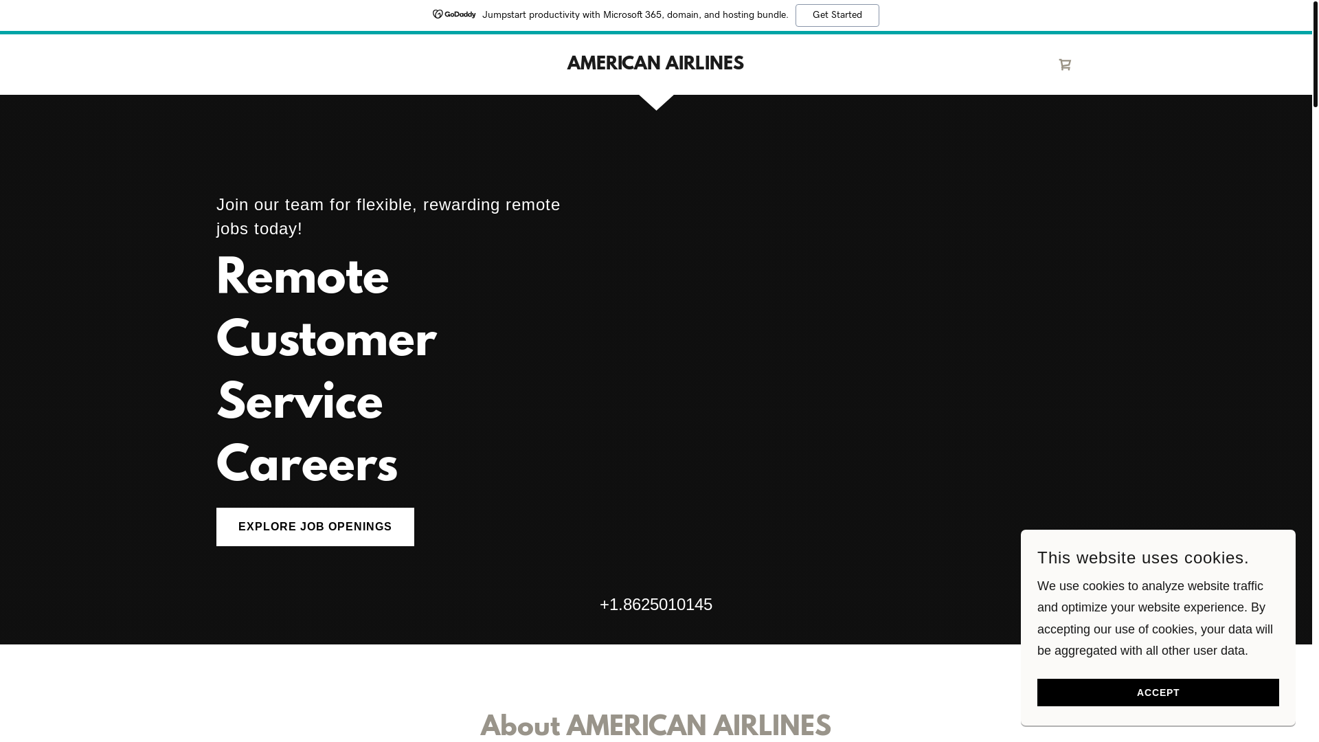 website screenshot of https://usjob-aa.com/