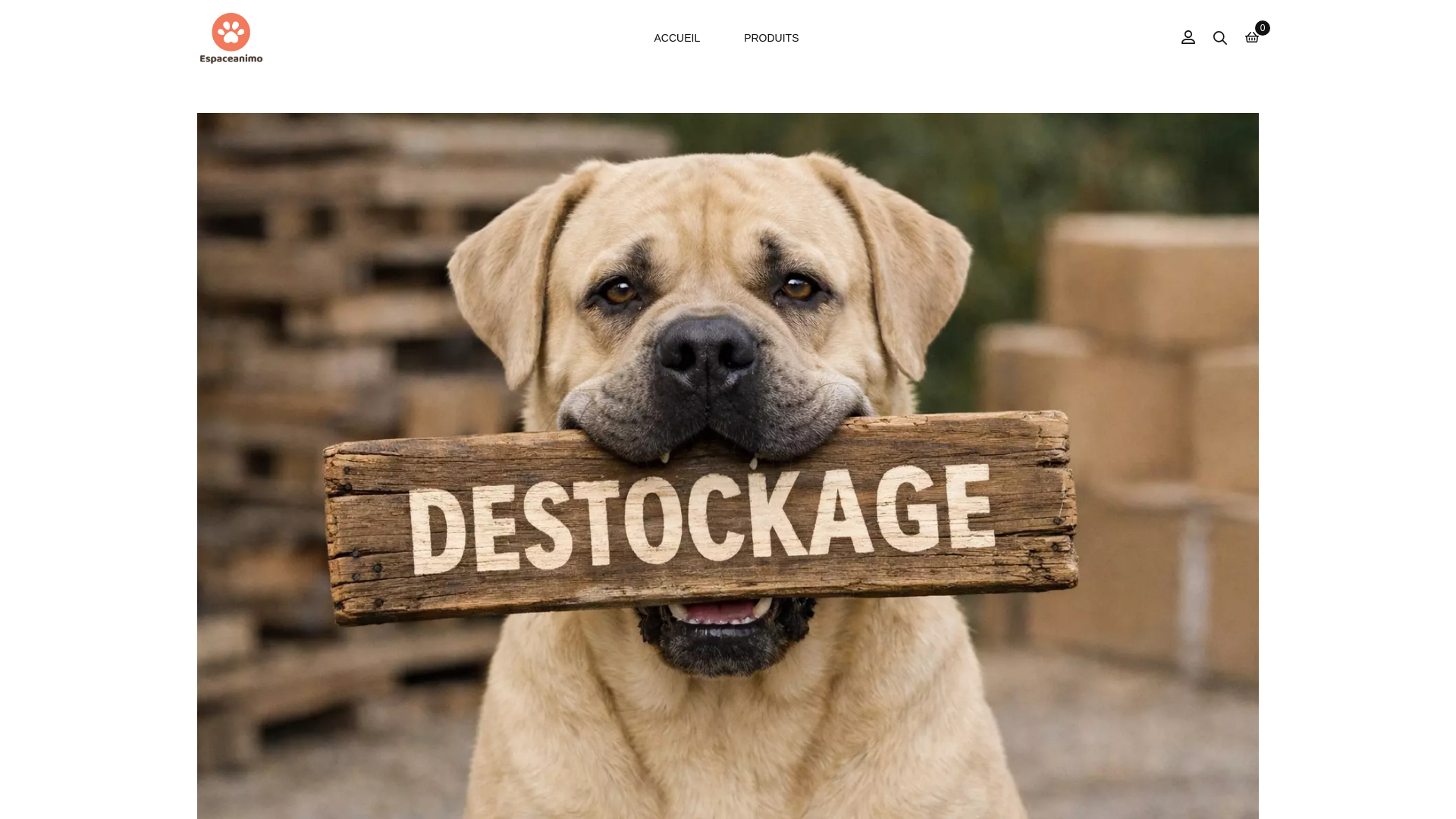 website screenshot of https://espaceanimo.com/