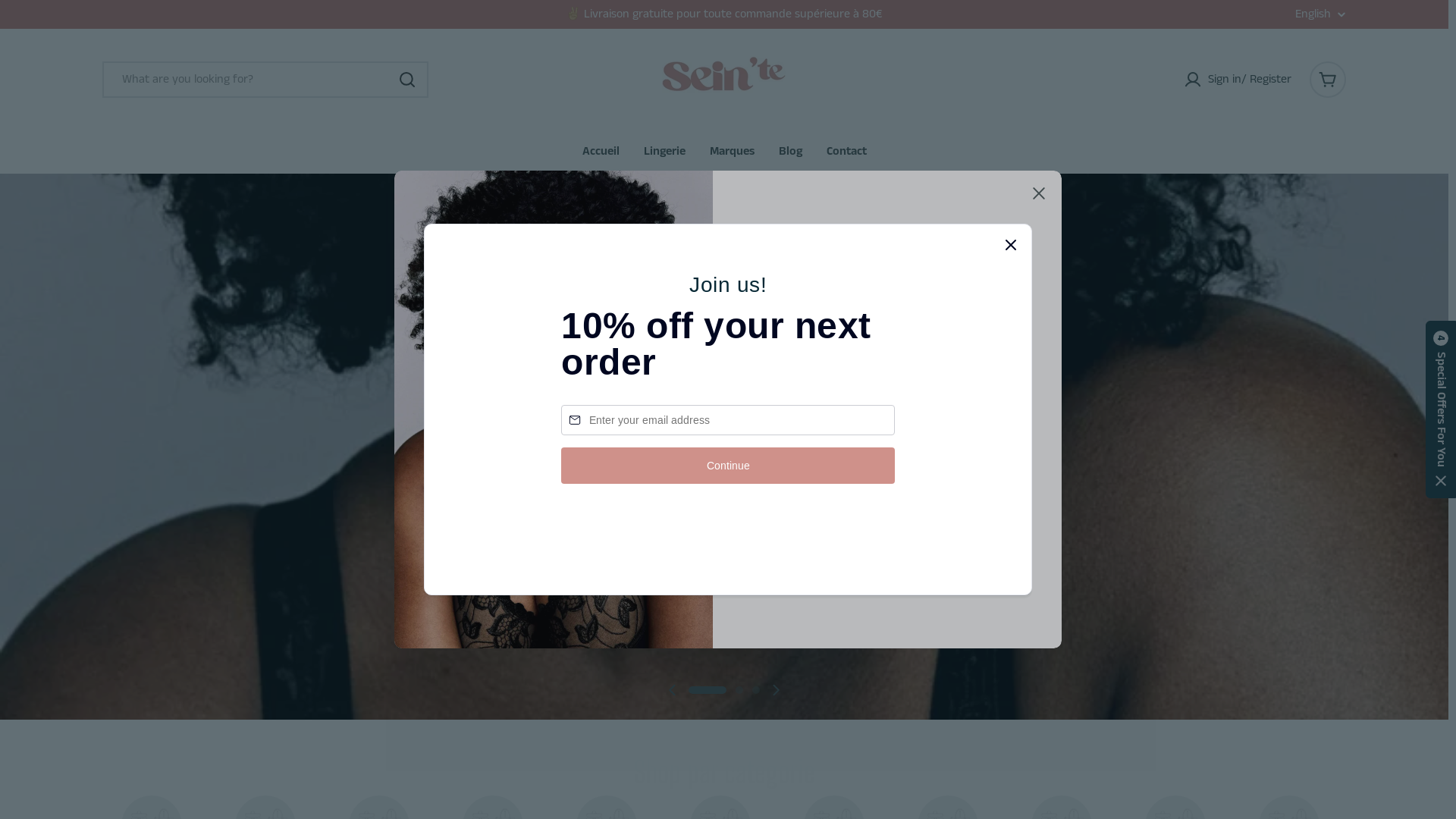 website screenshot of https://seinte.fr/