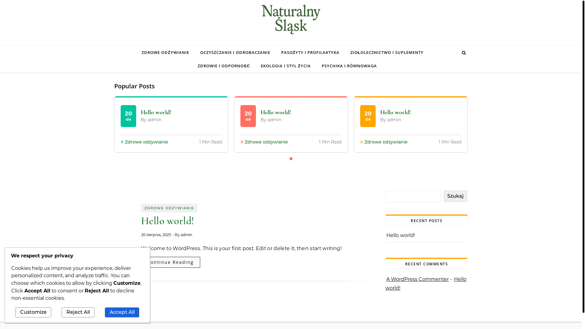 website screenshot of https://naturalnyslask.pl/