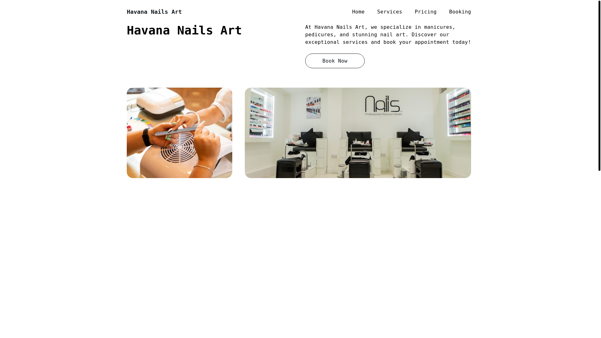 website screenshot of https://havananailsart.com/