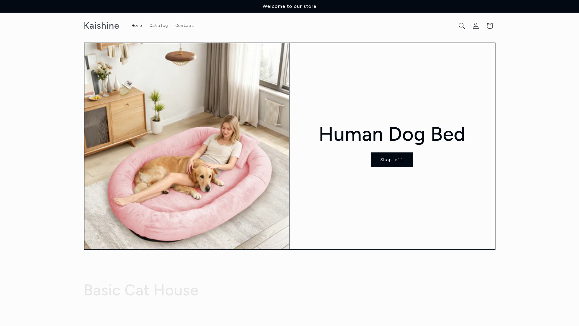 website screenshot of https://kaishine.us/